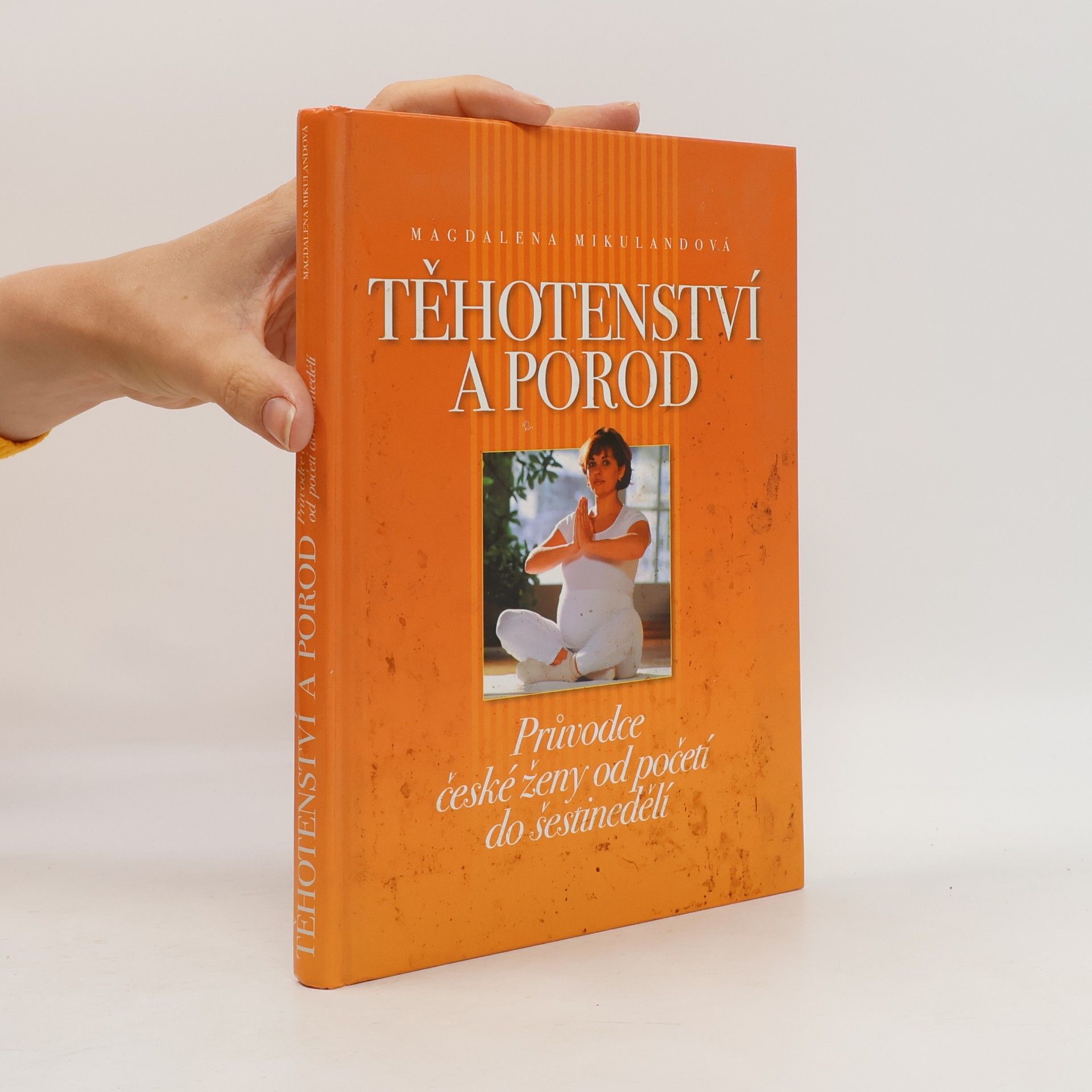 Magdalena Mikulandová Těhotenství a porod. Průvodce české ženy od početí do šestinedělí