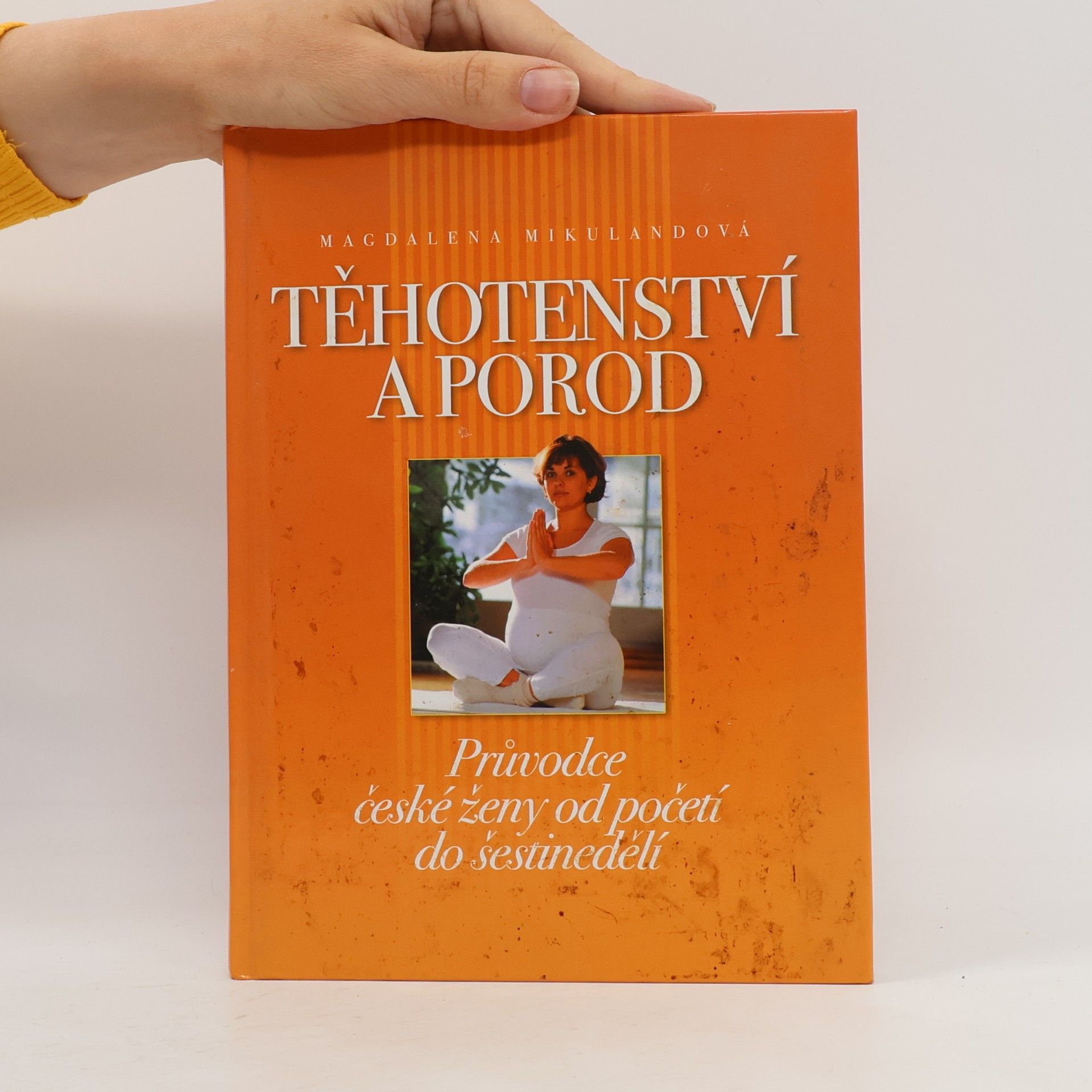Magdalena Mikulandová Těhotenství a porod. Průvodce české ženy od početí do šestinedělí