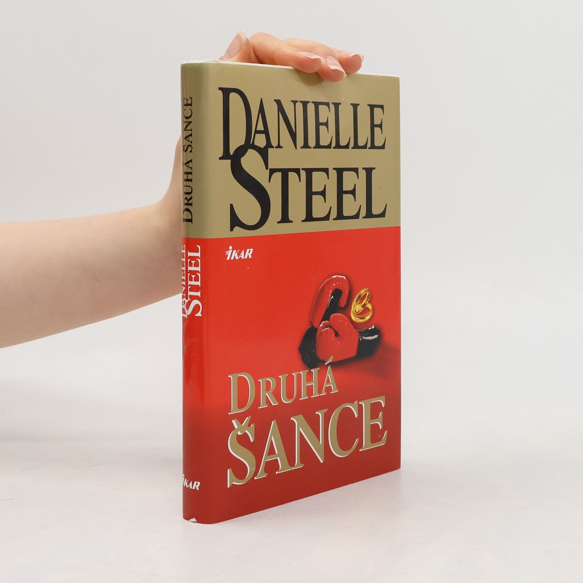 Danielle Steel Druhá šance