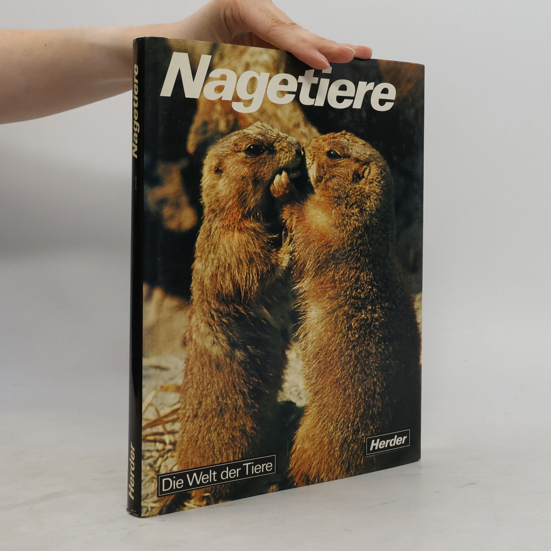 Laura Rinetti Nagetiere