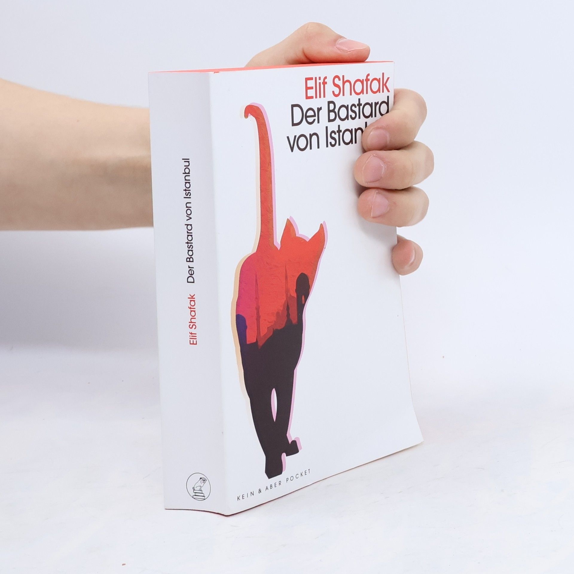 Elif Şafak Der Bastard von Istanbul
