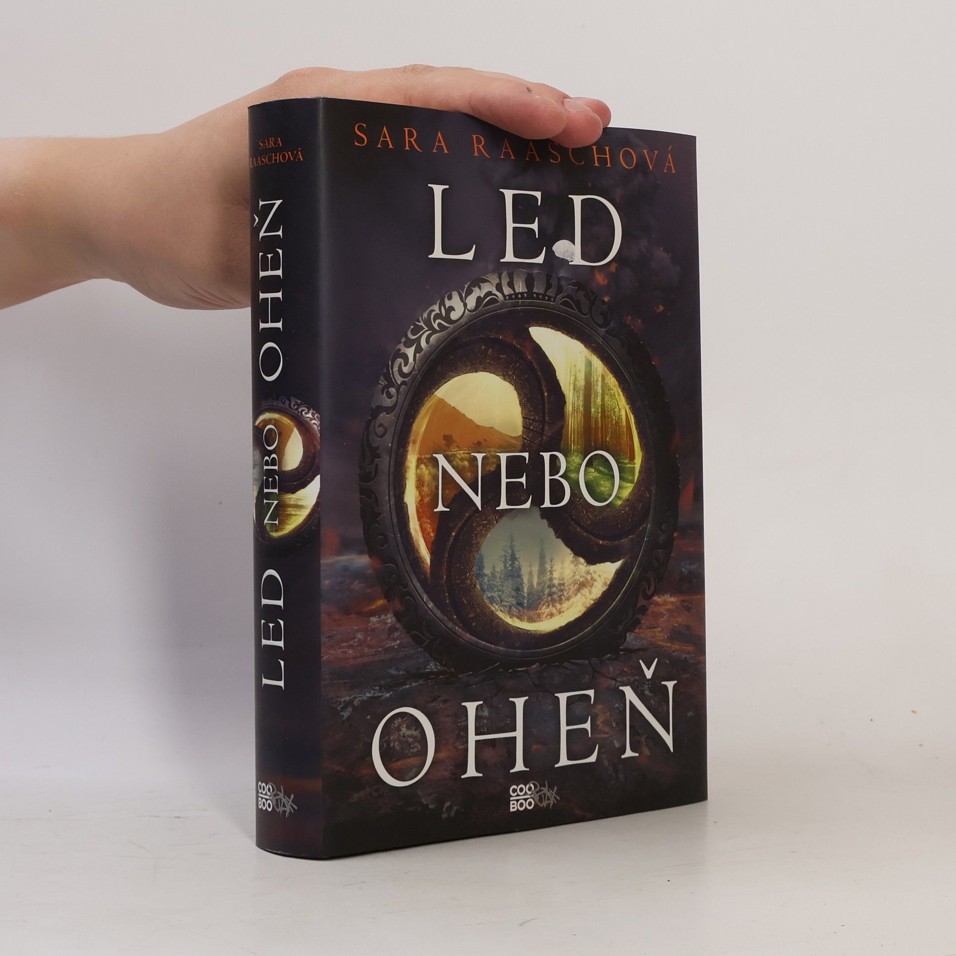 Sara Raasch Led nebo oheň