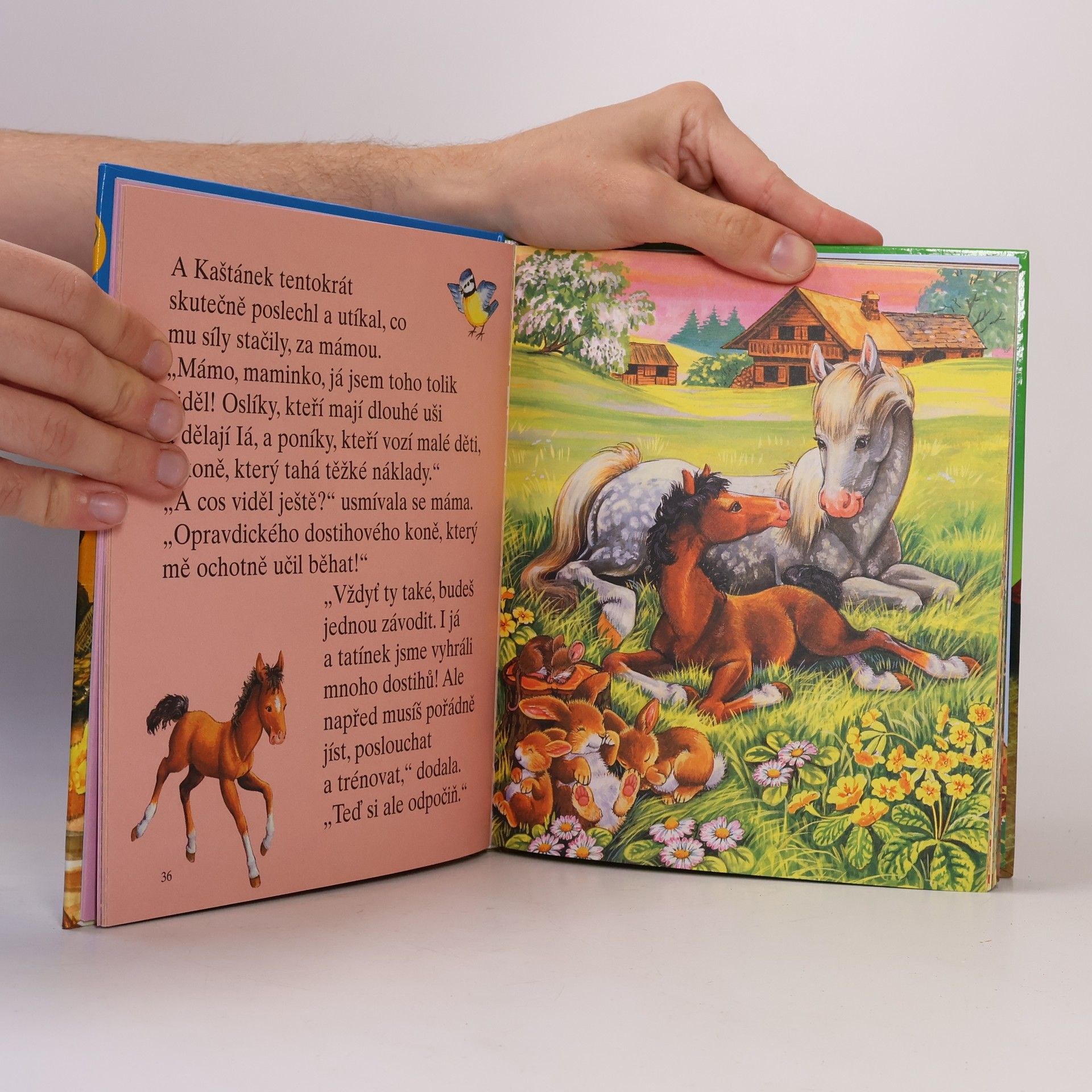 Various authors Zvědavý Punťa a jiné příběhy