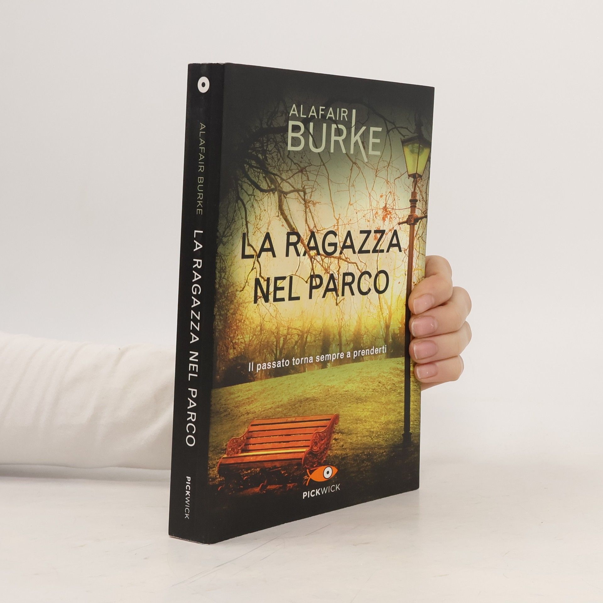 Alafair Burke La ragazza nel parco