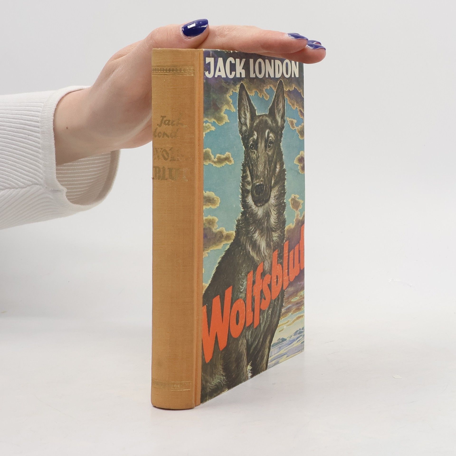 Jack London Wolfsblut