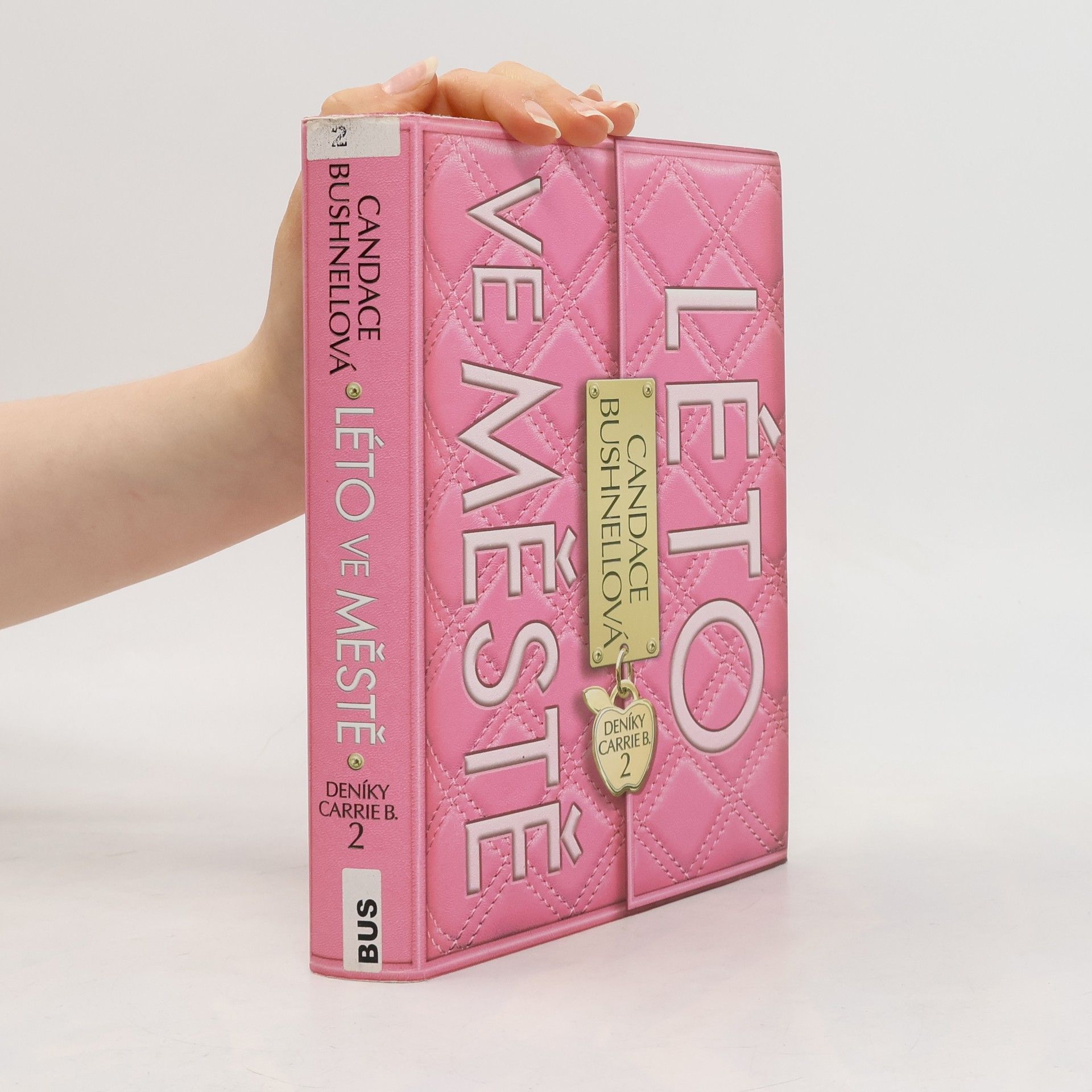 Candace Bushnell Deníky Carrie B. 2, Léto ve městě