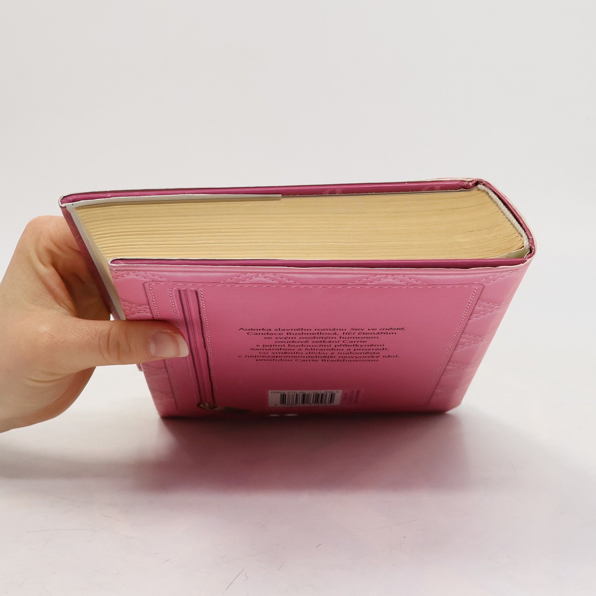 Candace Bushnell Deníky Carrie B. 2, Léto ve městě