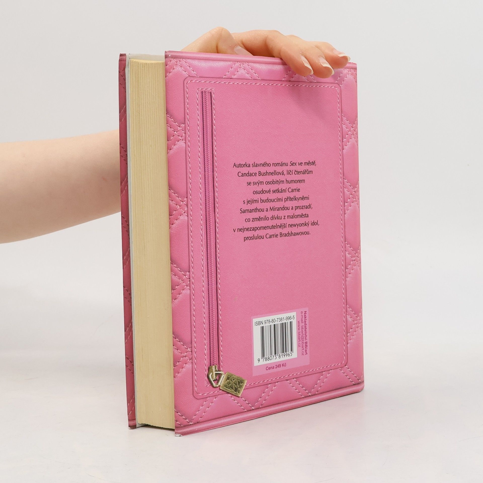 Candace Bushnell Deníky Carrie B. 2, Léto ve městě