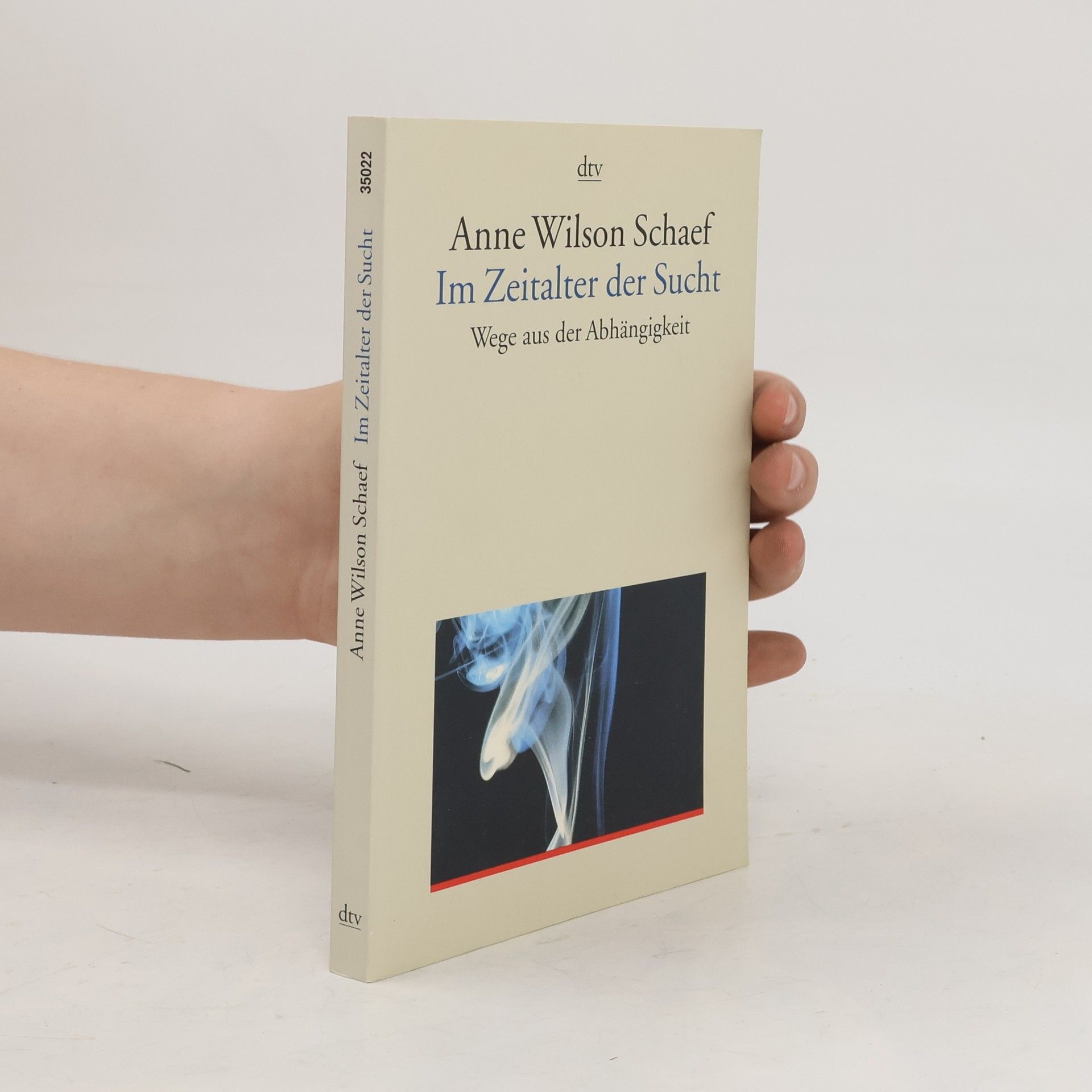 Anne Wilson Schaef Im Zeitalter der Sucht