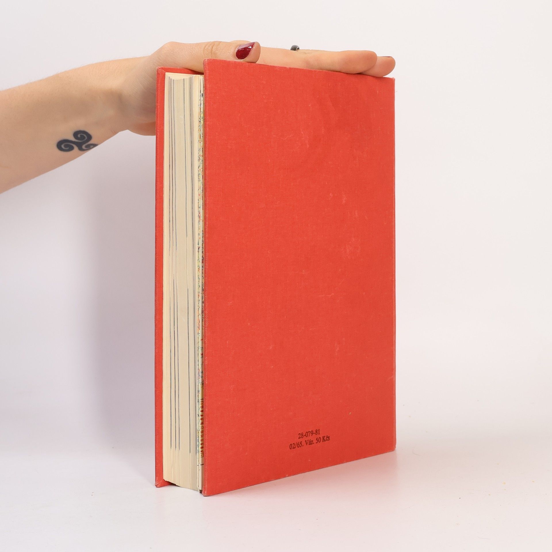 Autorenkollektiv Dějiny druhé světové války 1939 - 1945 IX.