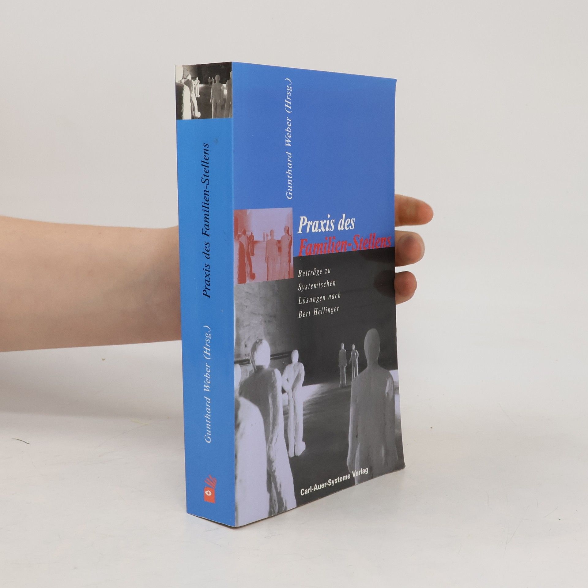 Gunthard Weber Praxis des Familien-Stellens