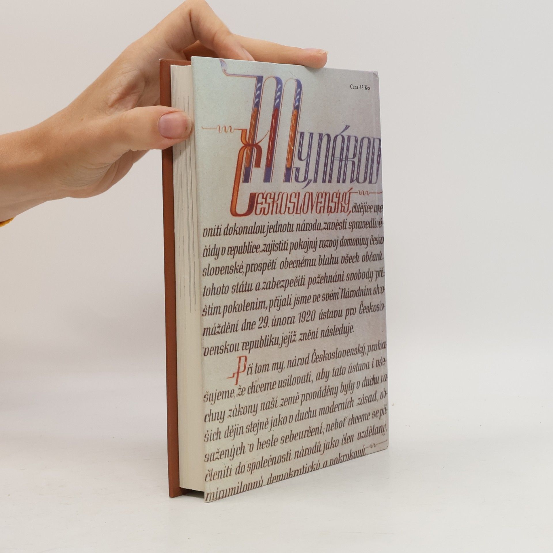 Various authors Dějiny zemí Koruny české II.