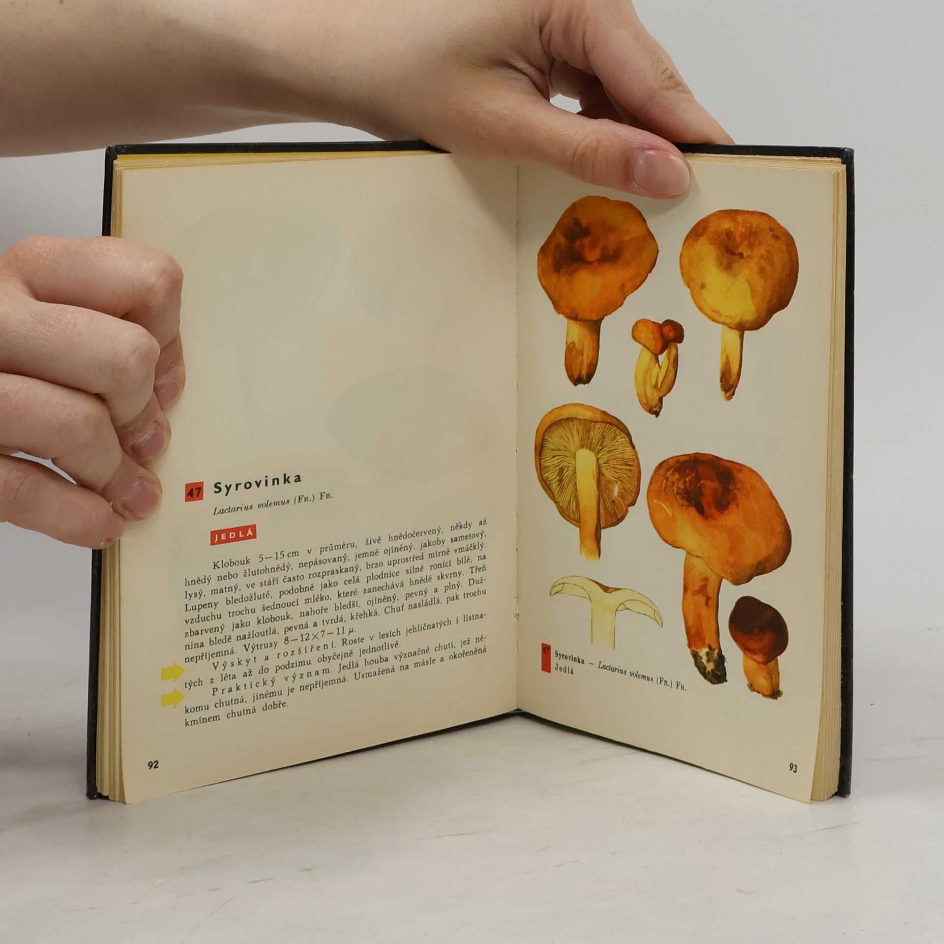 Otto Ušák Kapesní atlas hub