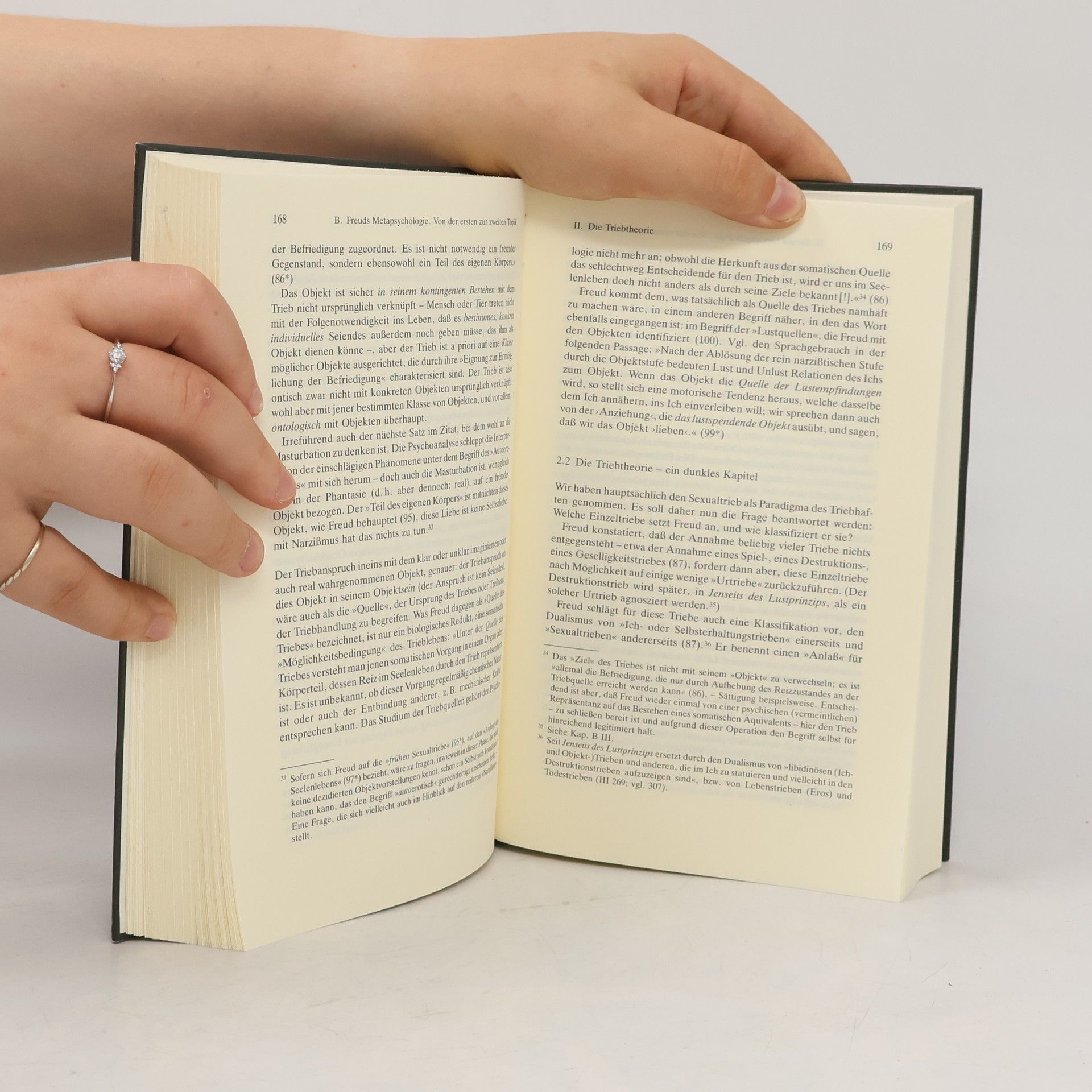 Jens Hagestedt Freud und Heidegger