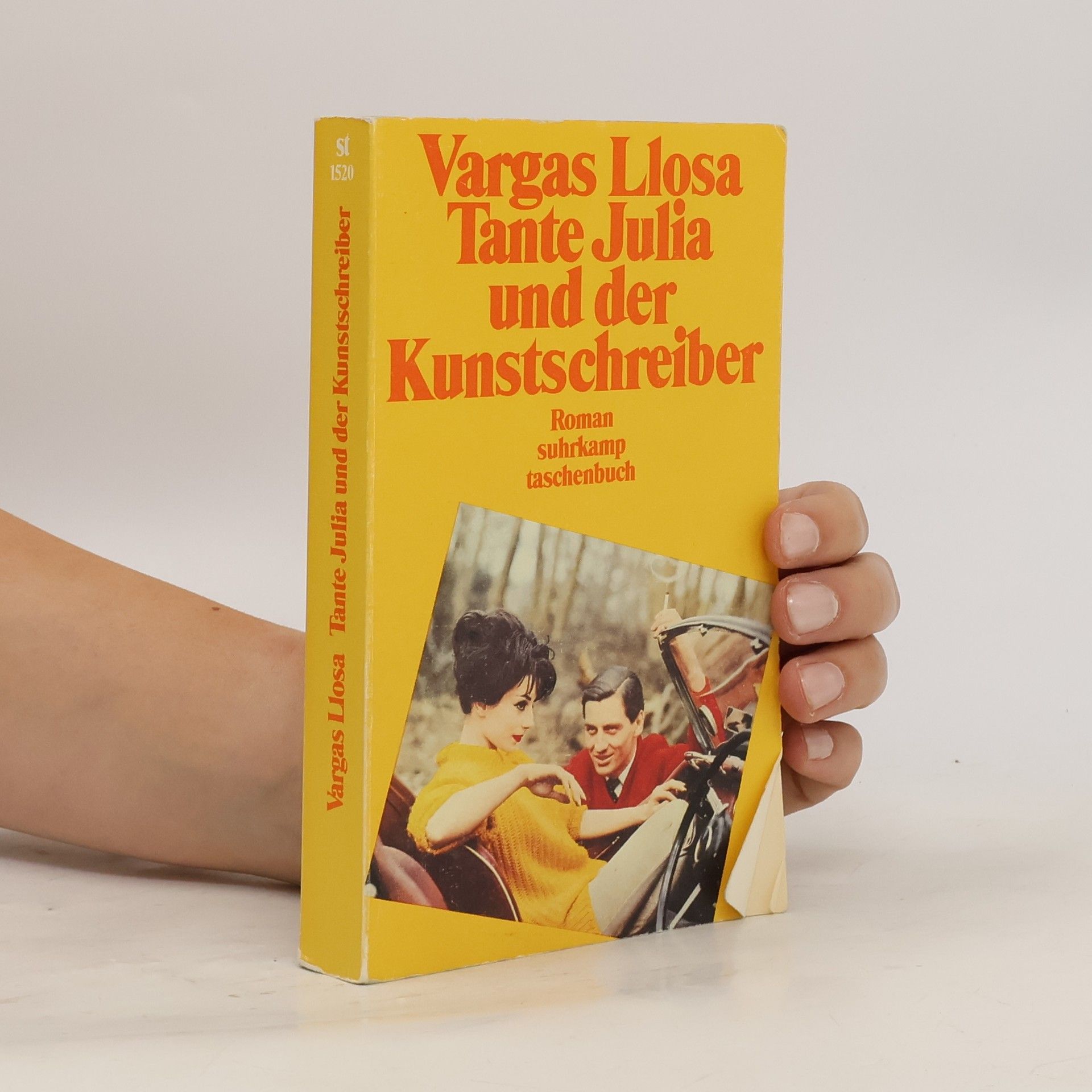 Mario Vargas Llosa Tante Julia und der Kunstschreiber
