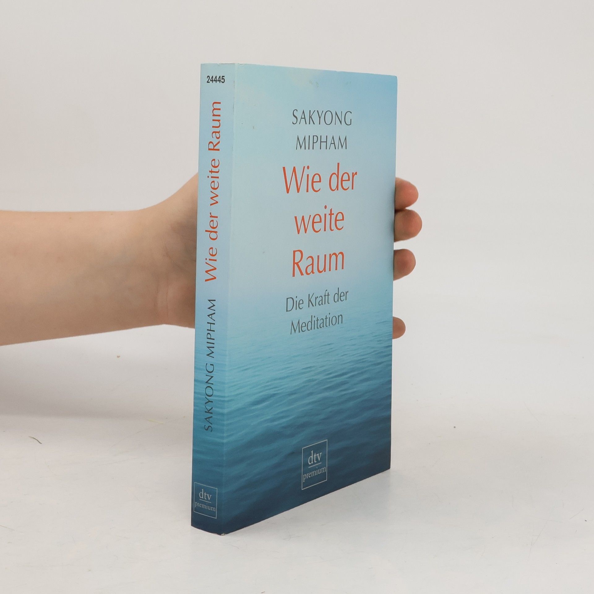 Sakyong Mipham Wie der weite Raum. Die Kraft der Meditation