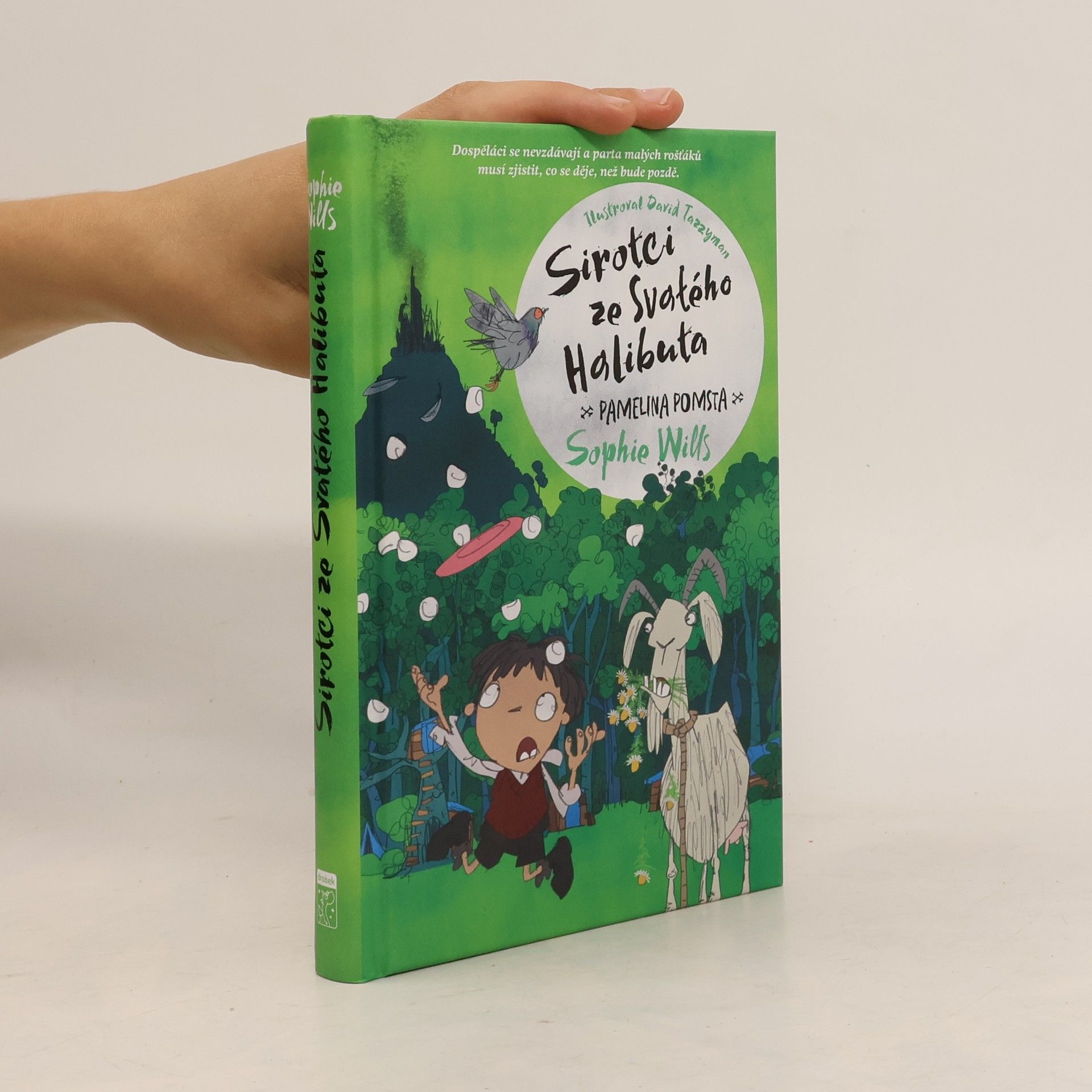 Sophie Wills Sirotci ze Svatého Halibuta. Pamelina pomsta