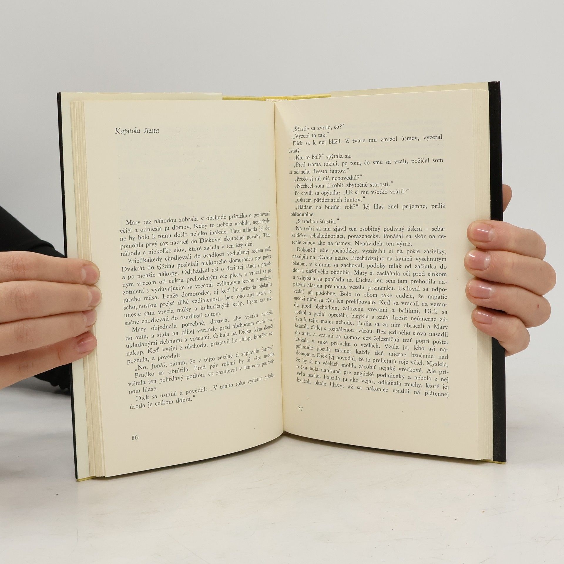Doris Lessing Tráva spieva