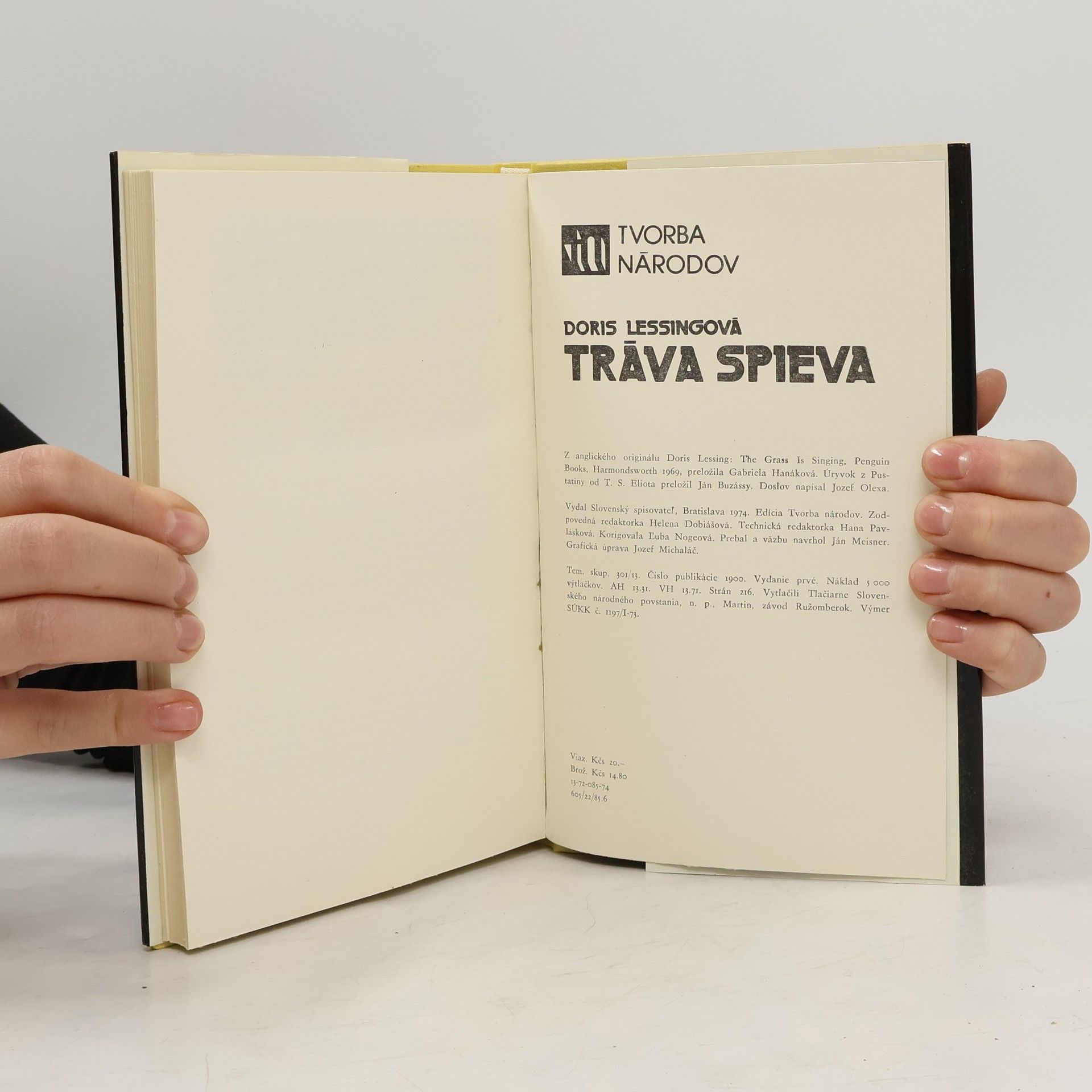 Doris Lessing Tráva spieva