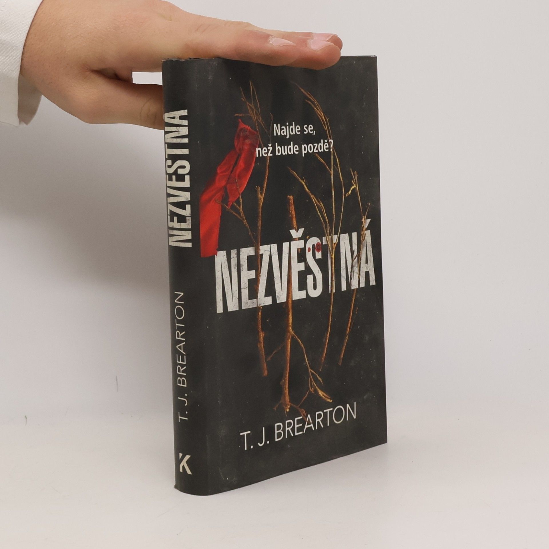 T. J. Brearton Nezvěstná