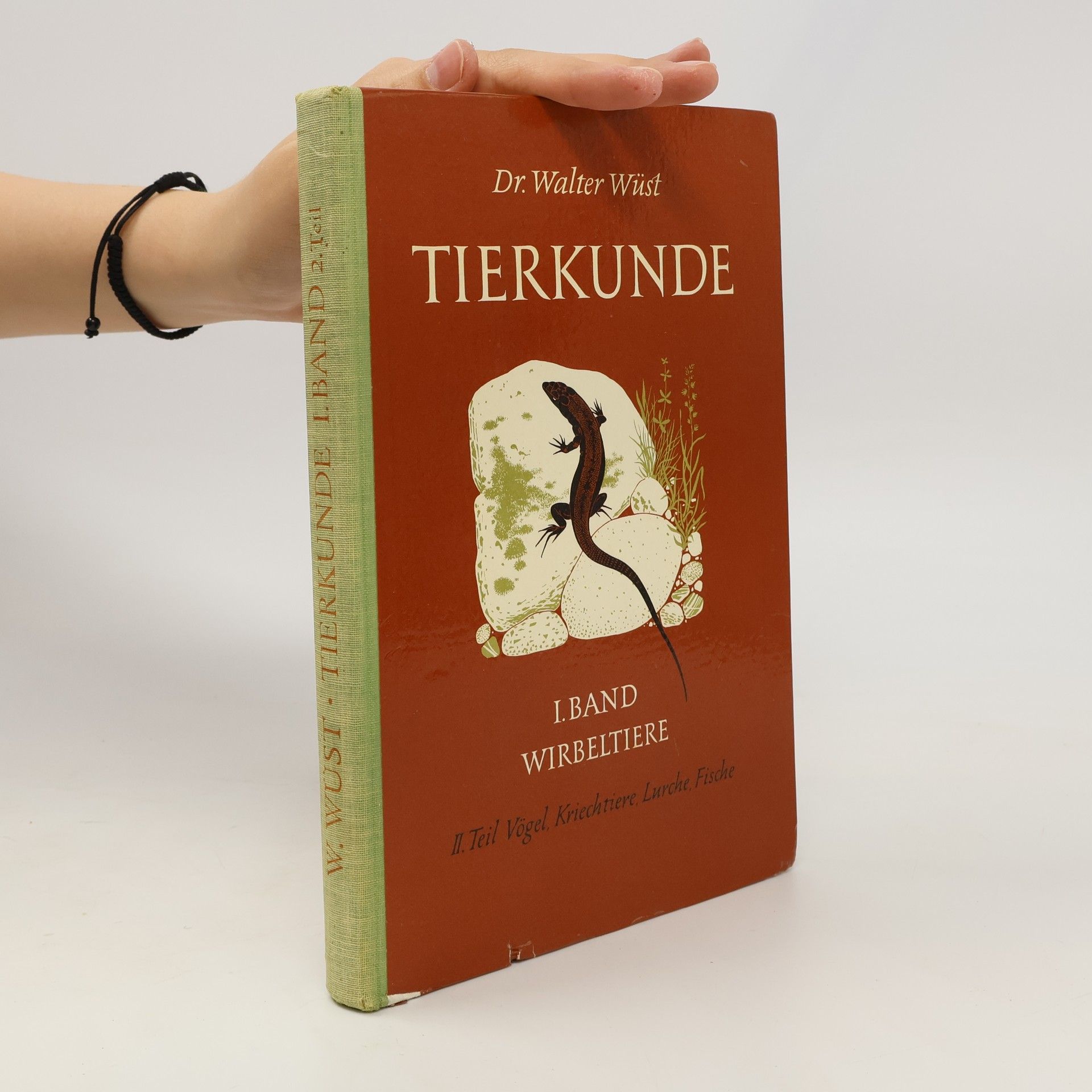 Walter Wüst Tierkunde I. Band. II. Teil