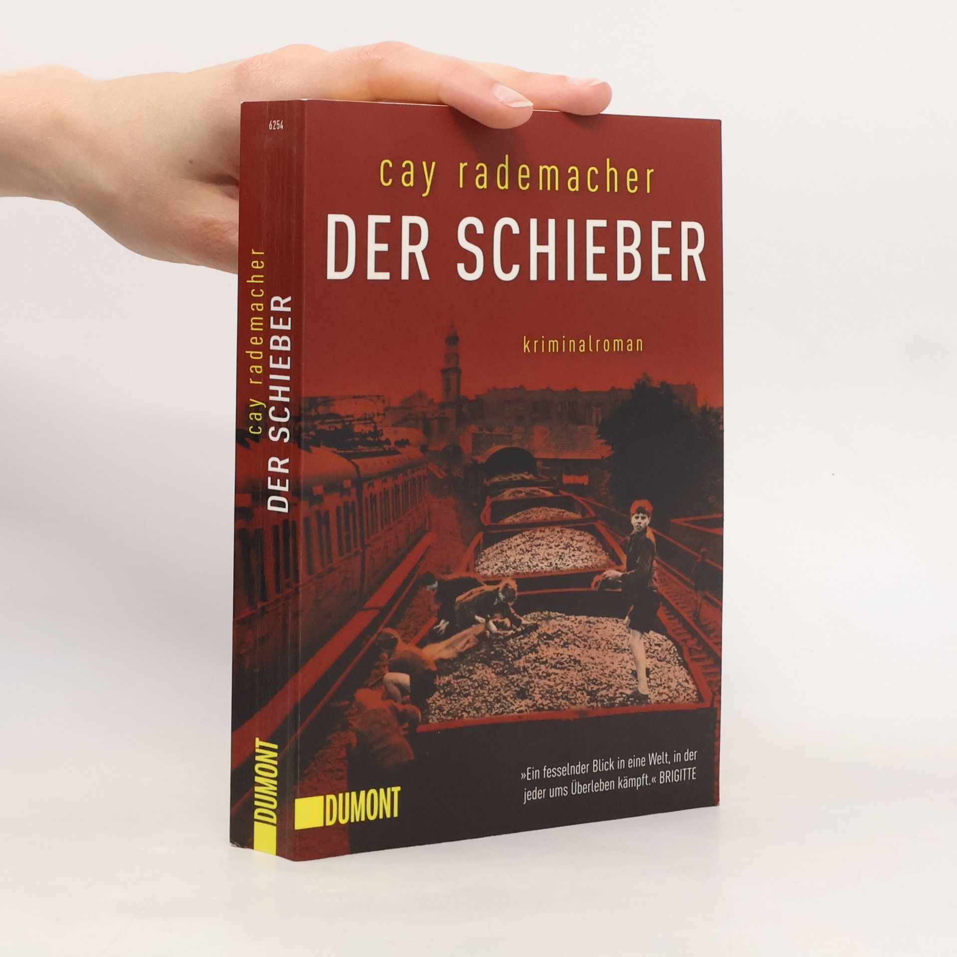 Cay Rademacher Der Schieber