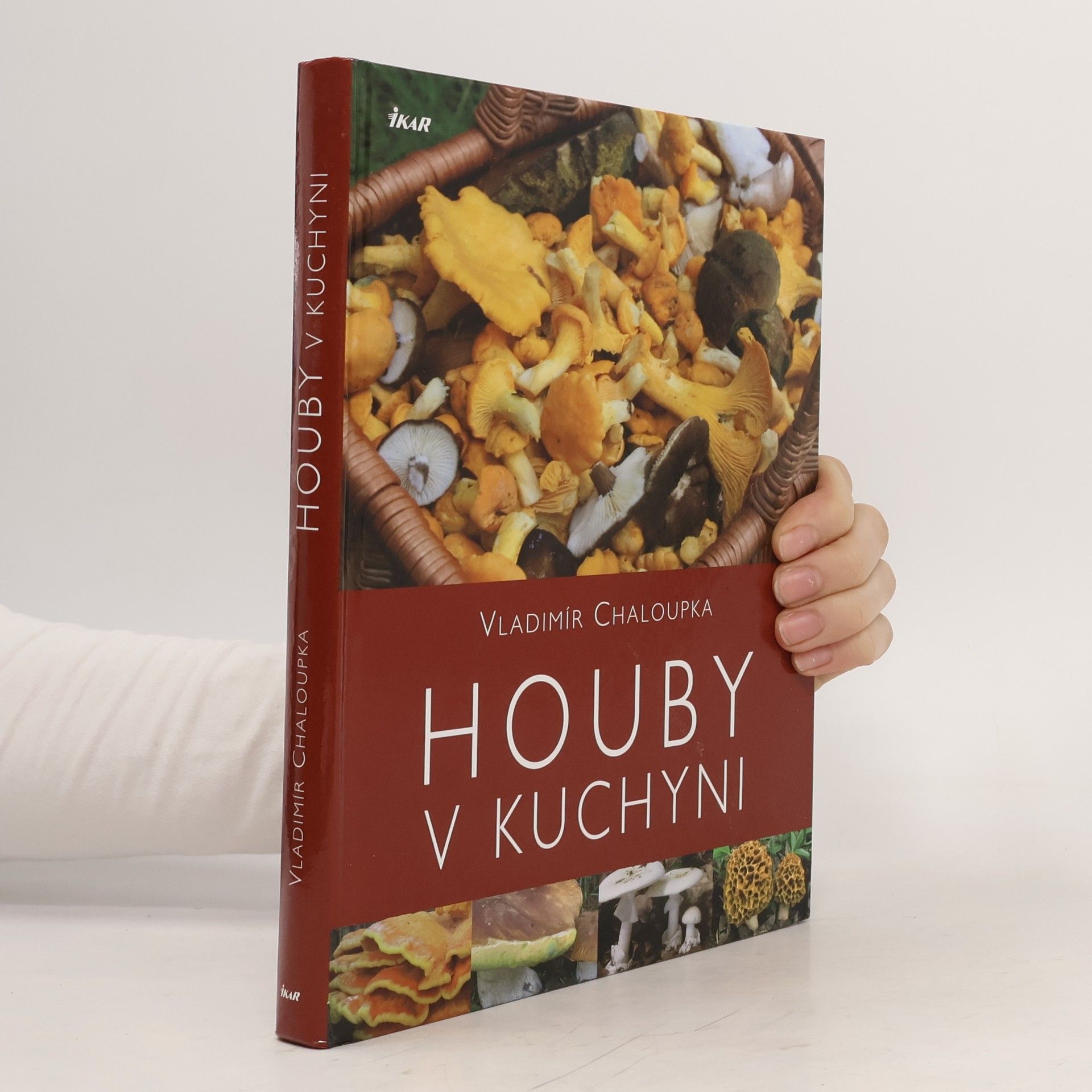Vladimír Chaloupka Houby v kuchyni