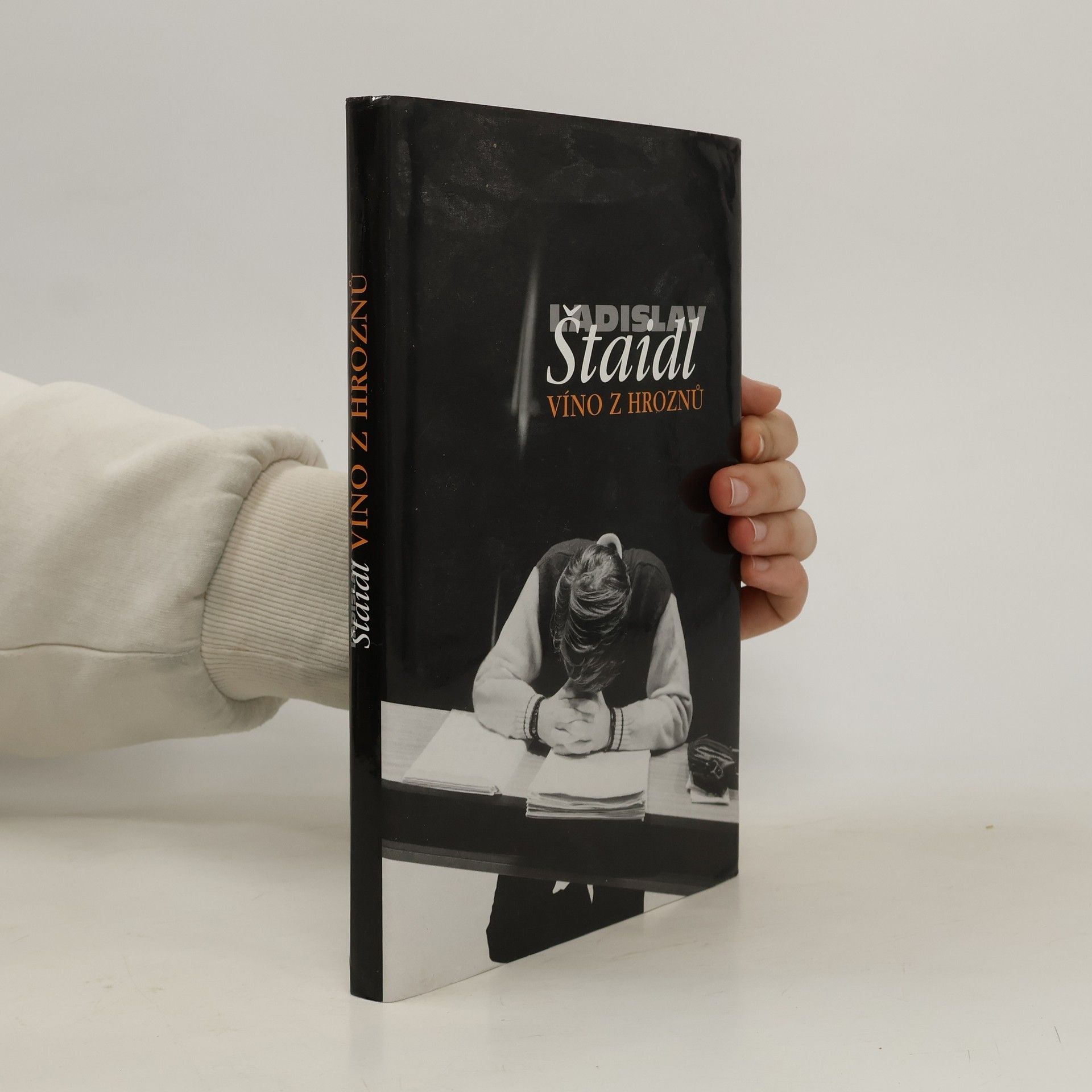 Ladislav Štaidl Víno z hroznů