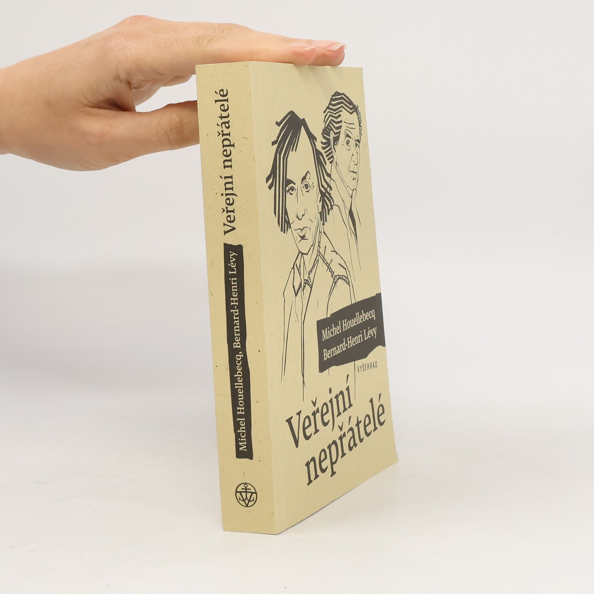 Michel Houellebecq Veřejní nepřátelé