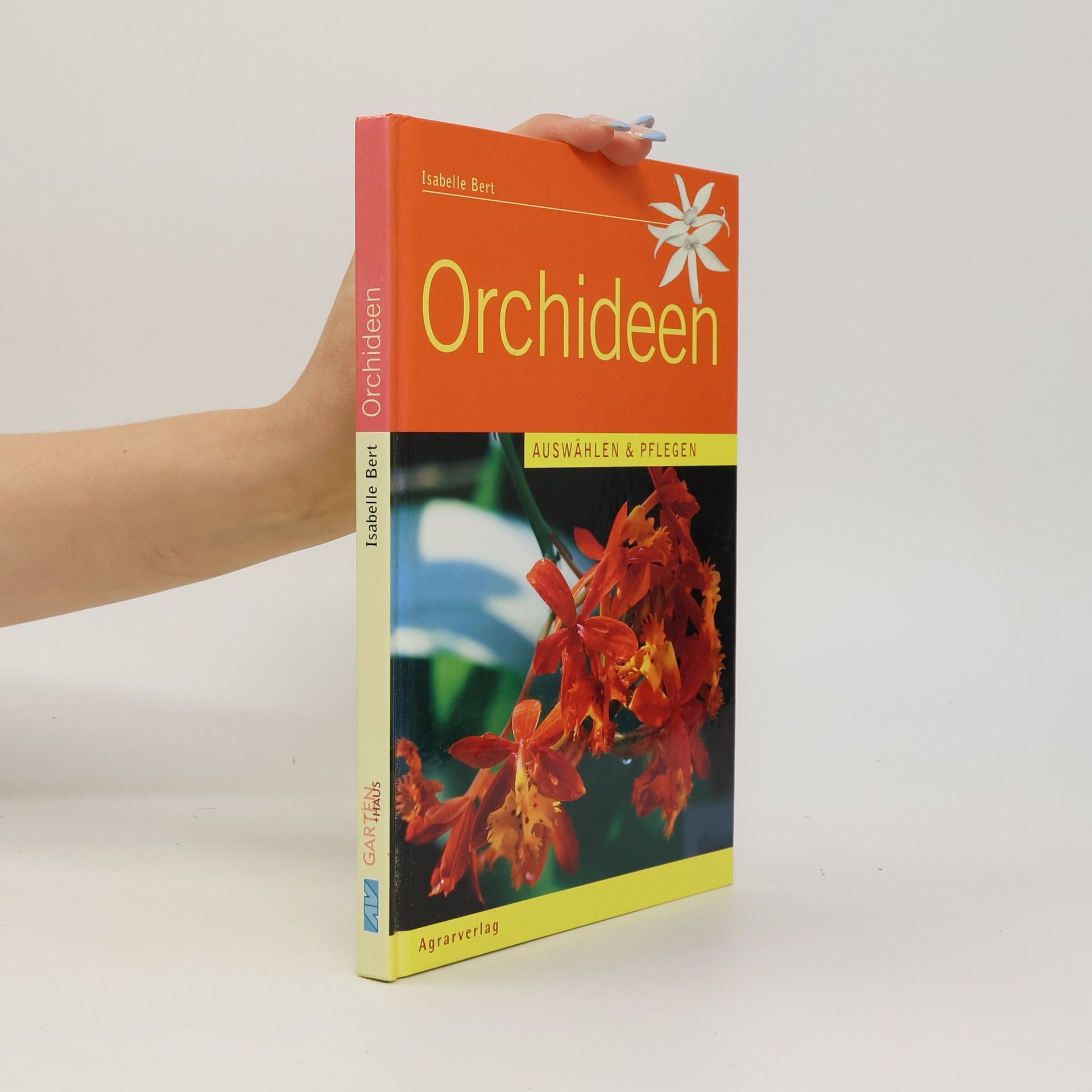 Isabelle Bert Orchideen