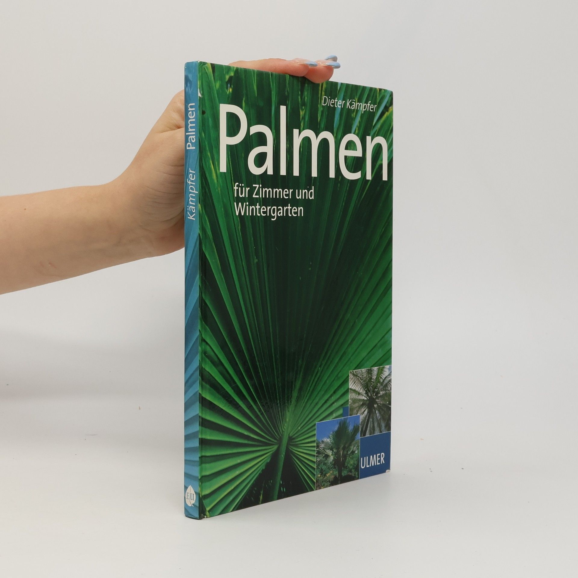 Dieter Kämpfer Schöne Palmen für Zimmer und Wintergarten