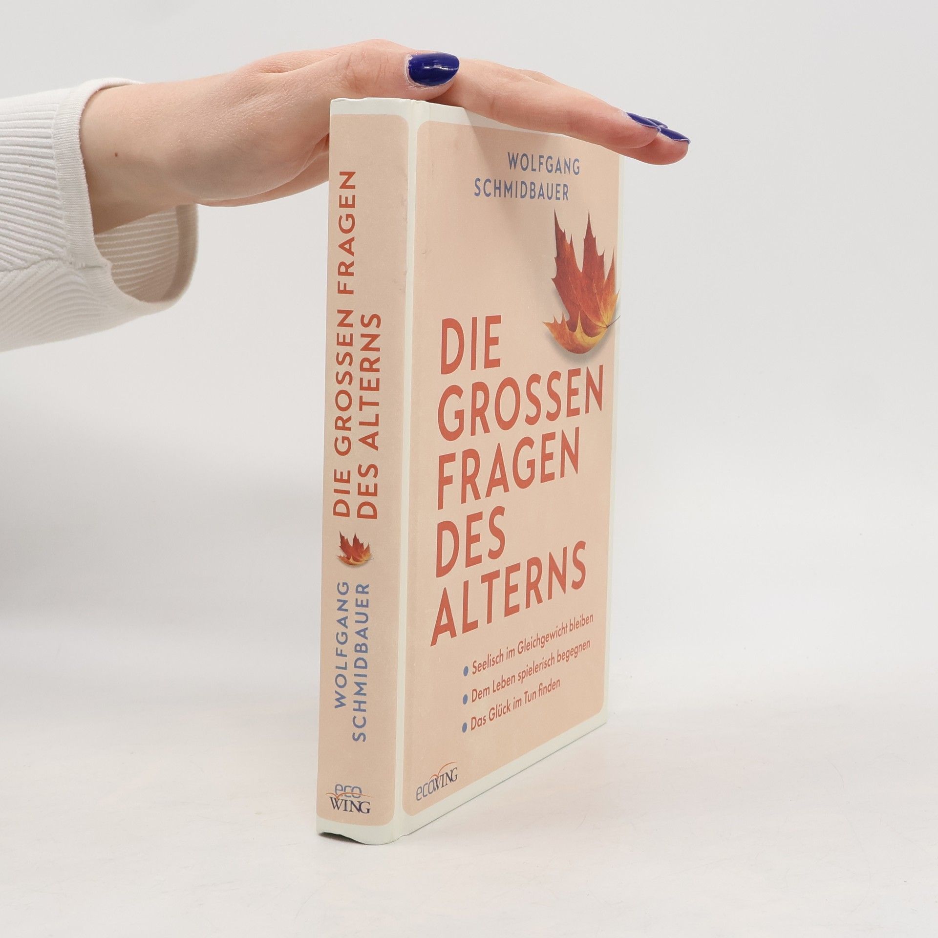 Wolfgang Schmidbauer Die großen Fragen des Alterns
