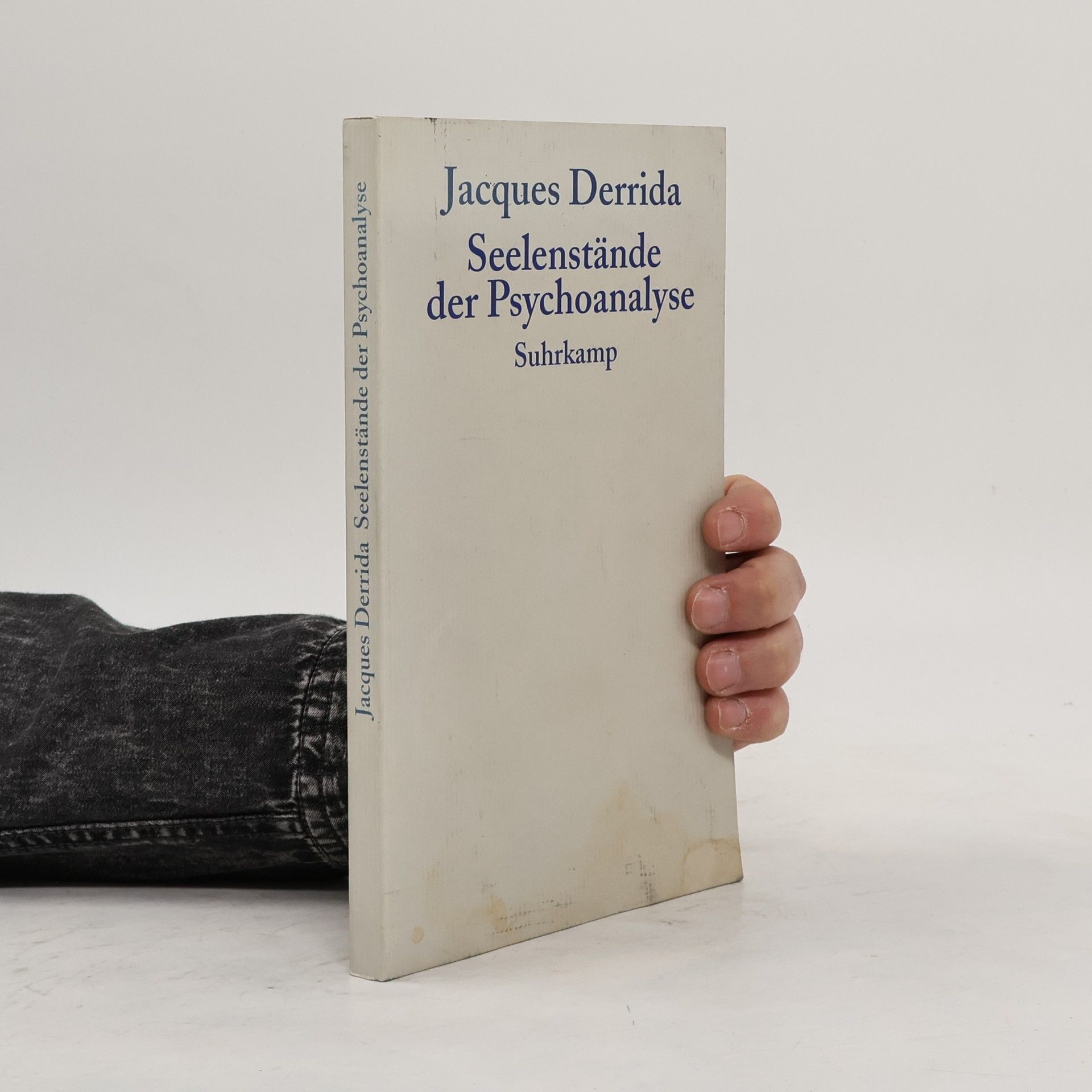 Seelenstände der Psychoanalyse