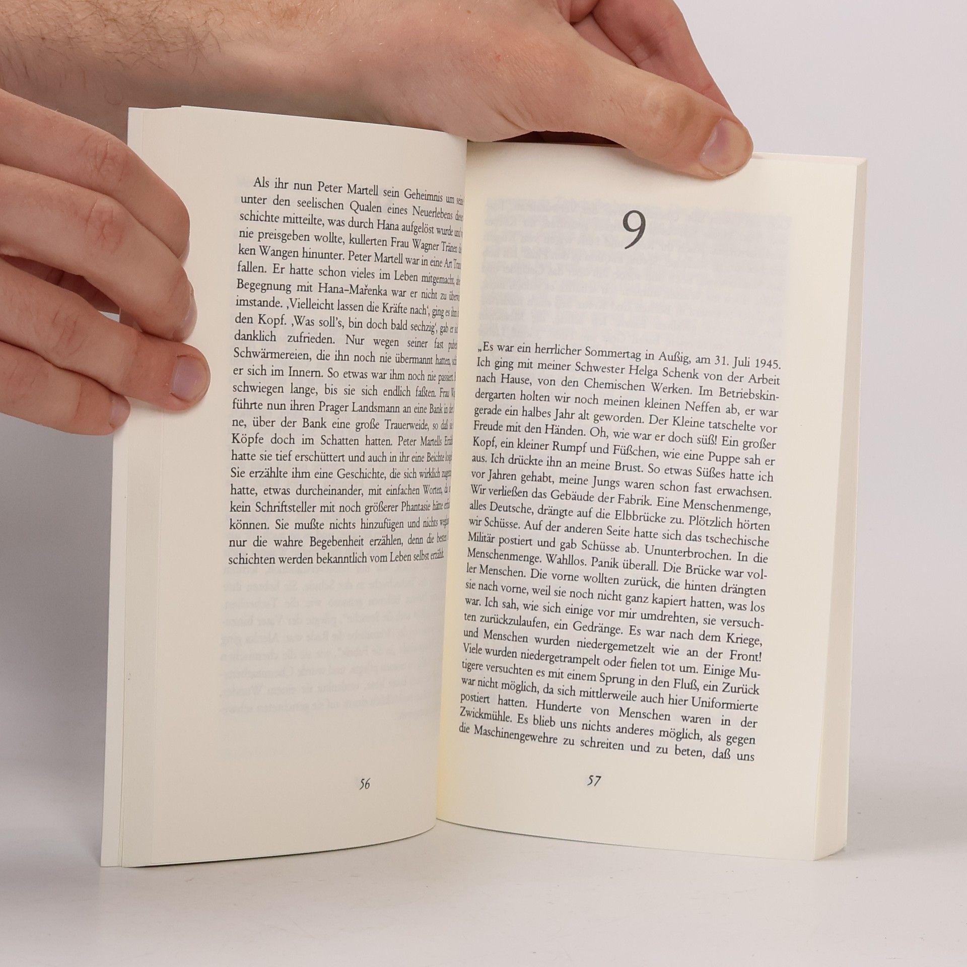 Paul Tischler Grasgott: Die Geschichte einer Liebenden aus der Slowakei. Novelle