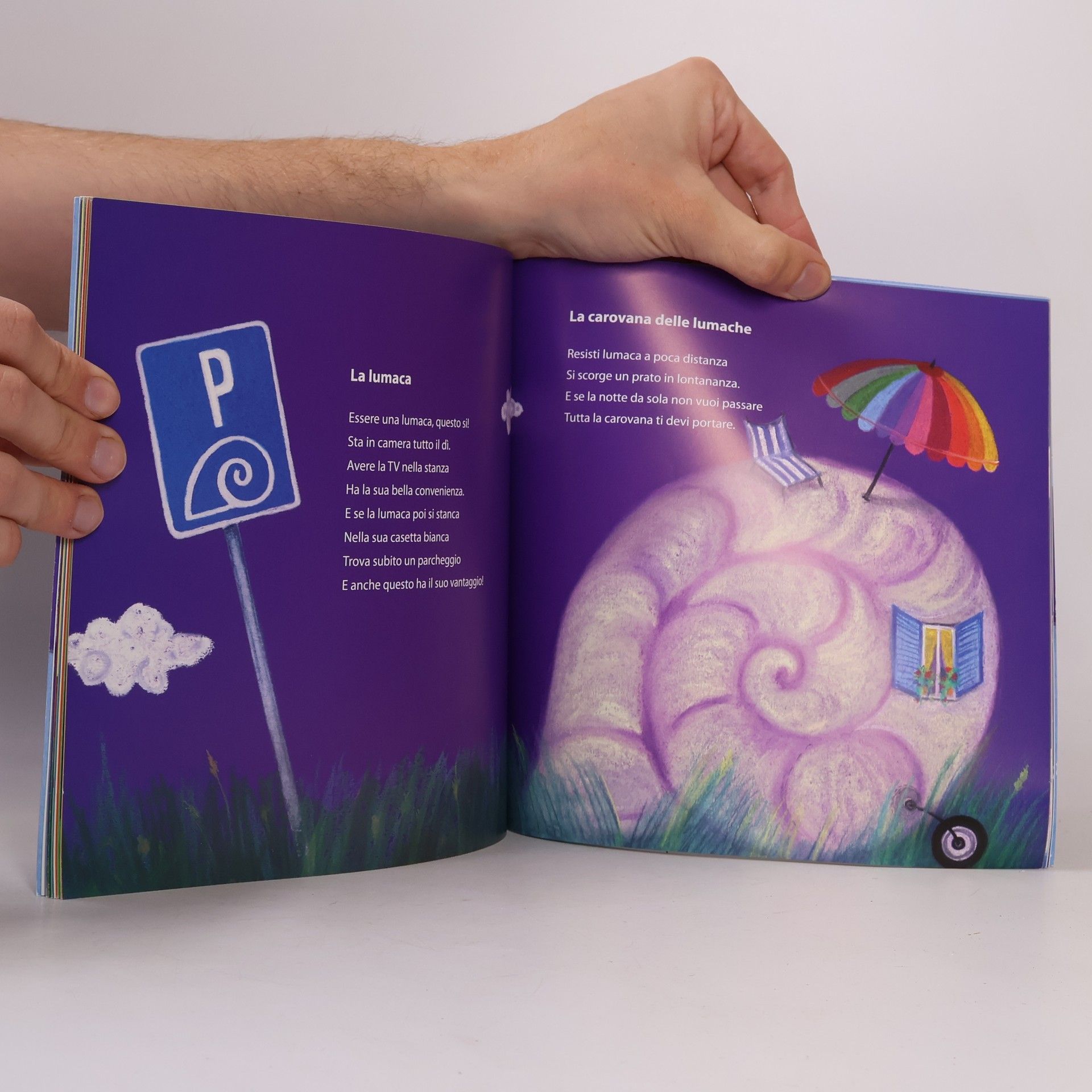 Gabriela Dittel Libriccino sotto il cuscino