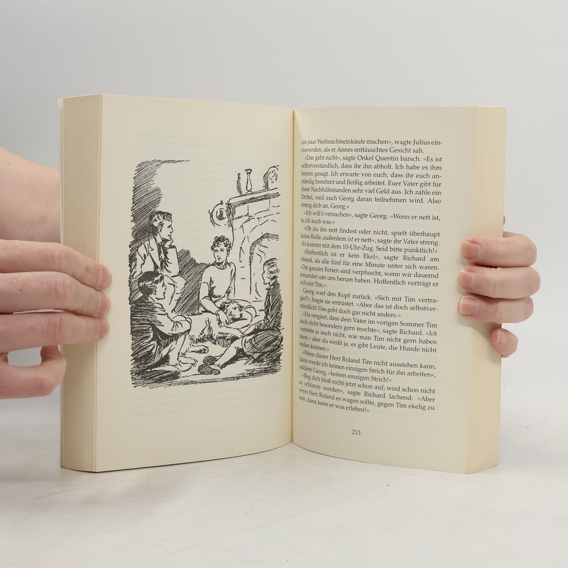 Enid Blyton Fünf Freunde im Jagdfieber