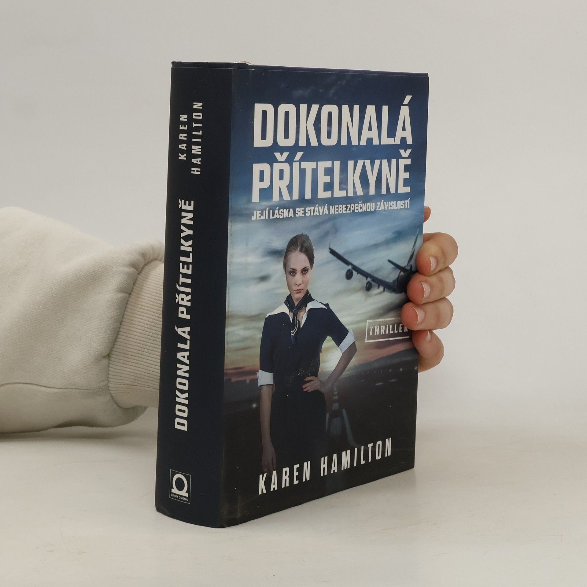 Karen Hamilton Dokonalá přítelkyně