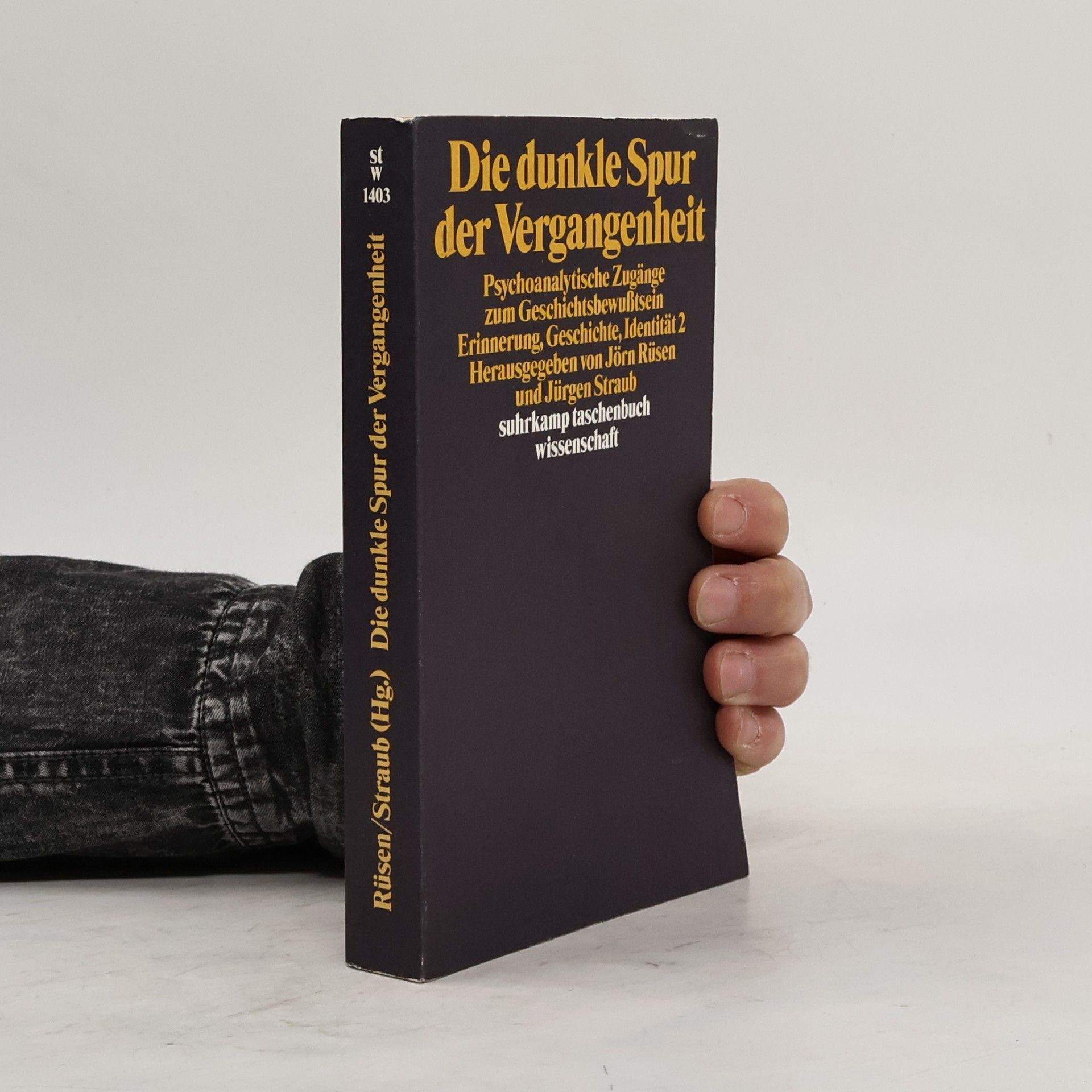 Jörn Rüsen Die dunkle Spur der Vergangenheit