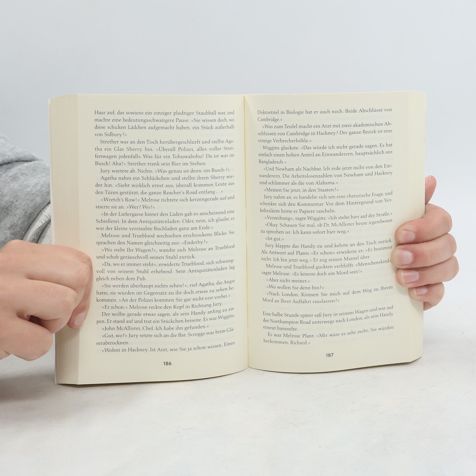 Martha Grimes Inspektor Jury und die Frau in Rot