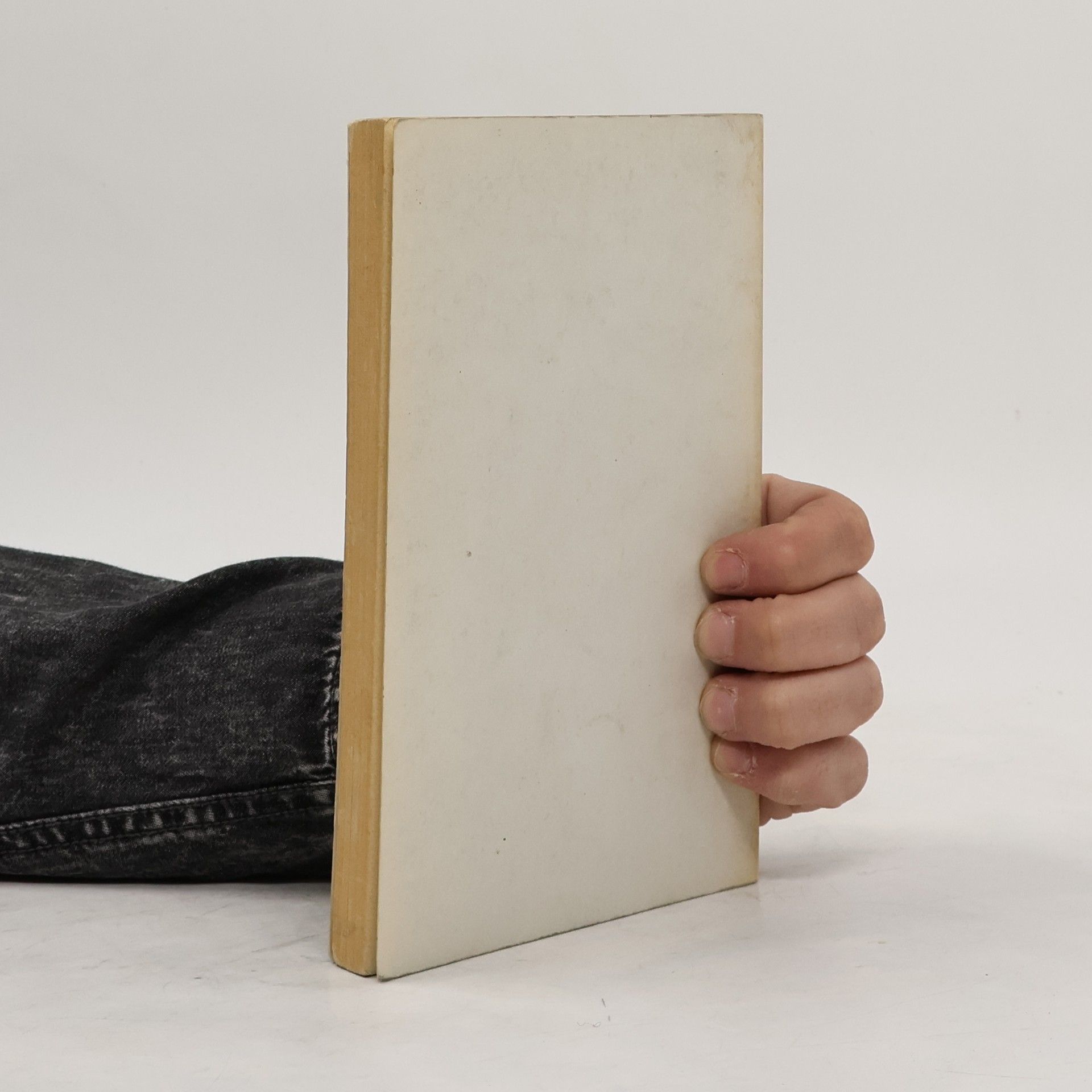 Barrington Moore Zur Geschichte der politischen Gewalt
