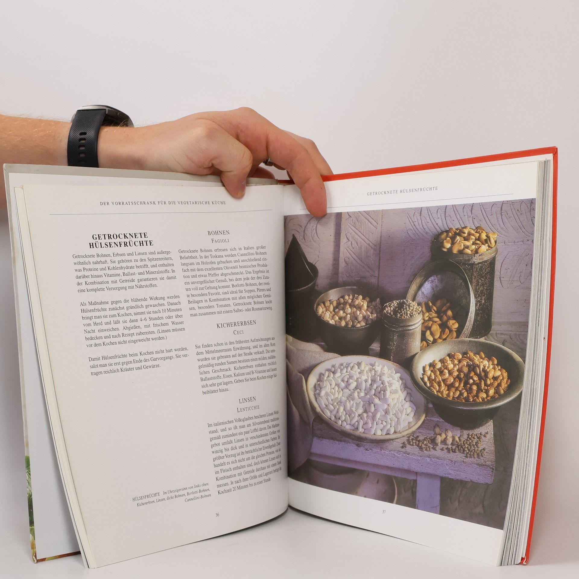 Emanuela Stucchi Italien vegetarisch