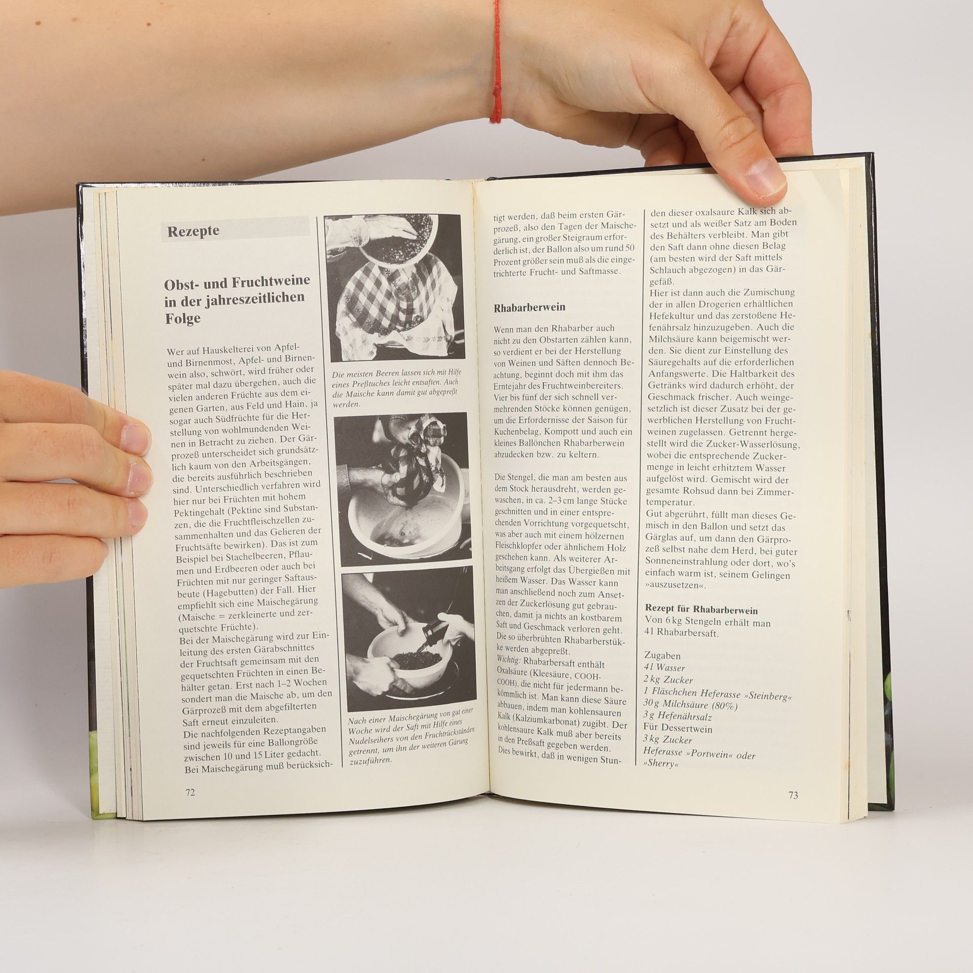 Egon M. Binder Fruchtwein, Most und Säfte selbst gemacht