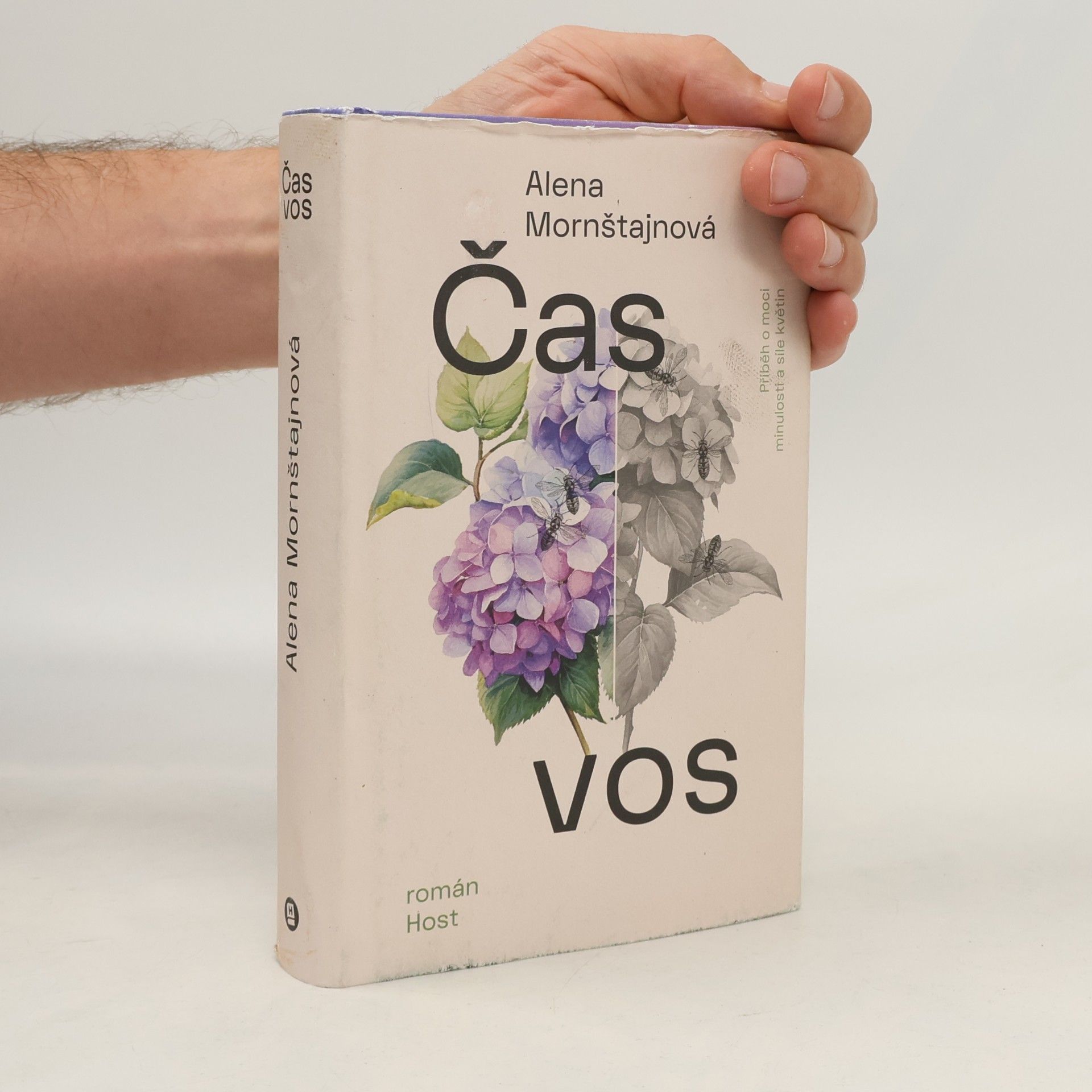 Alena Mornštajnová Čas vos