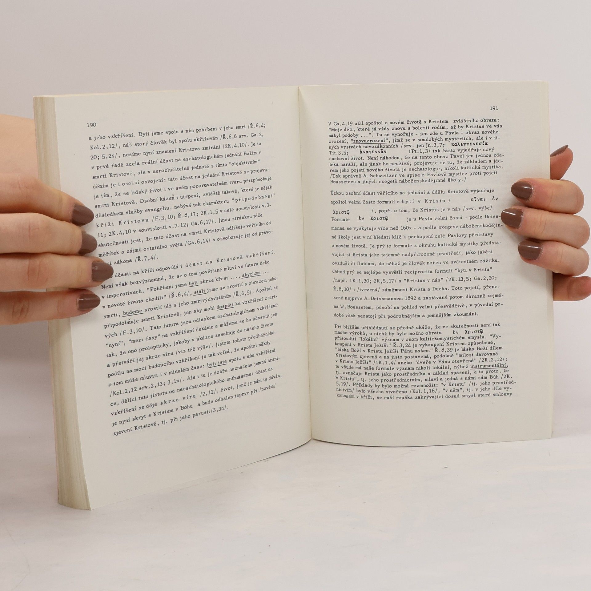 Josef Bohumil Souček Theologie apoštola Pavla
