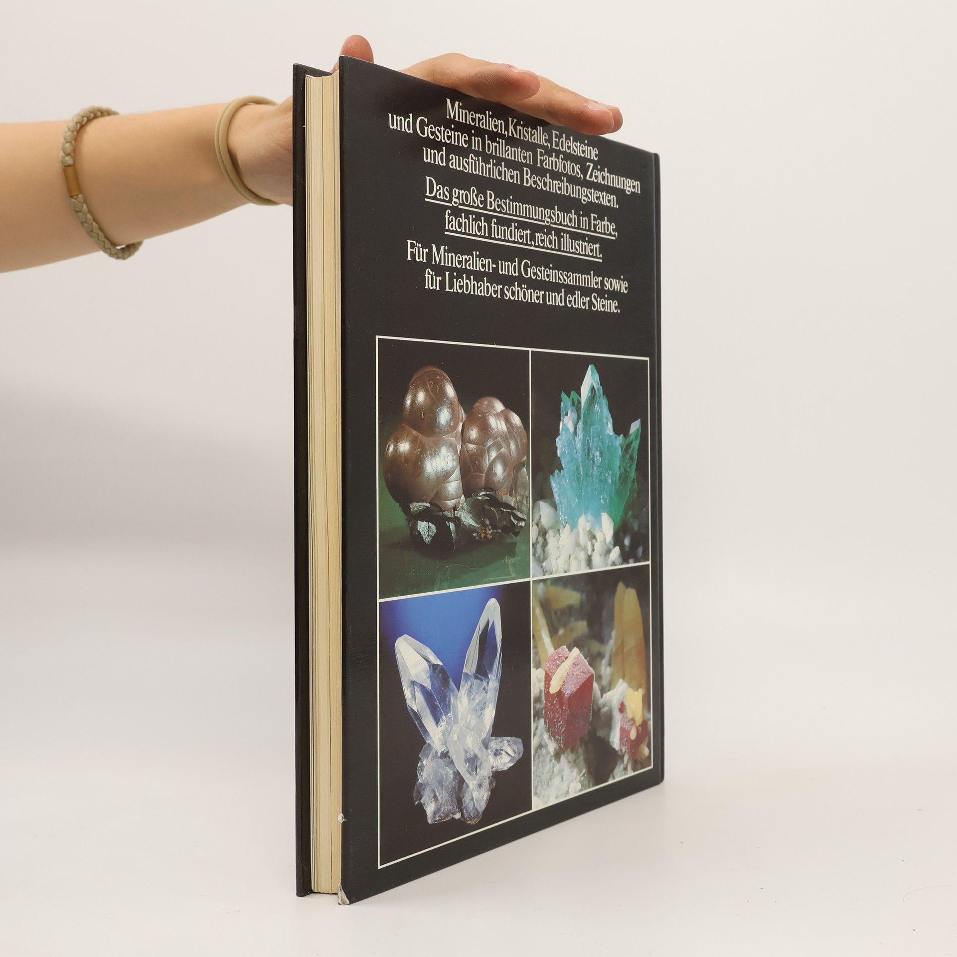 Rupert Hochleitner Fotoatlas der Mineralien und Gesteine