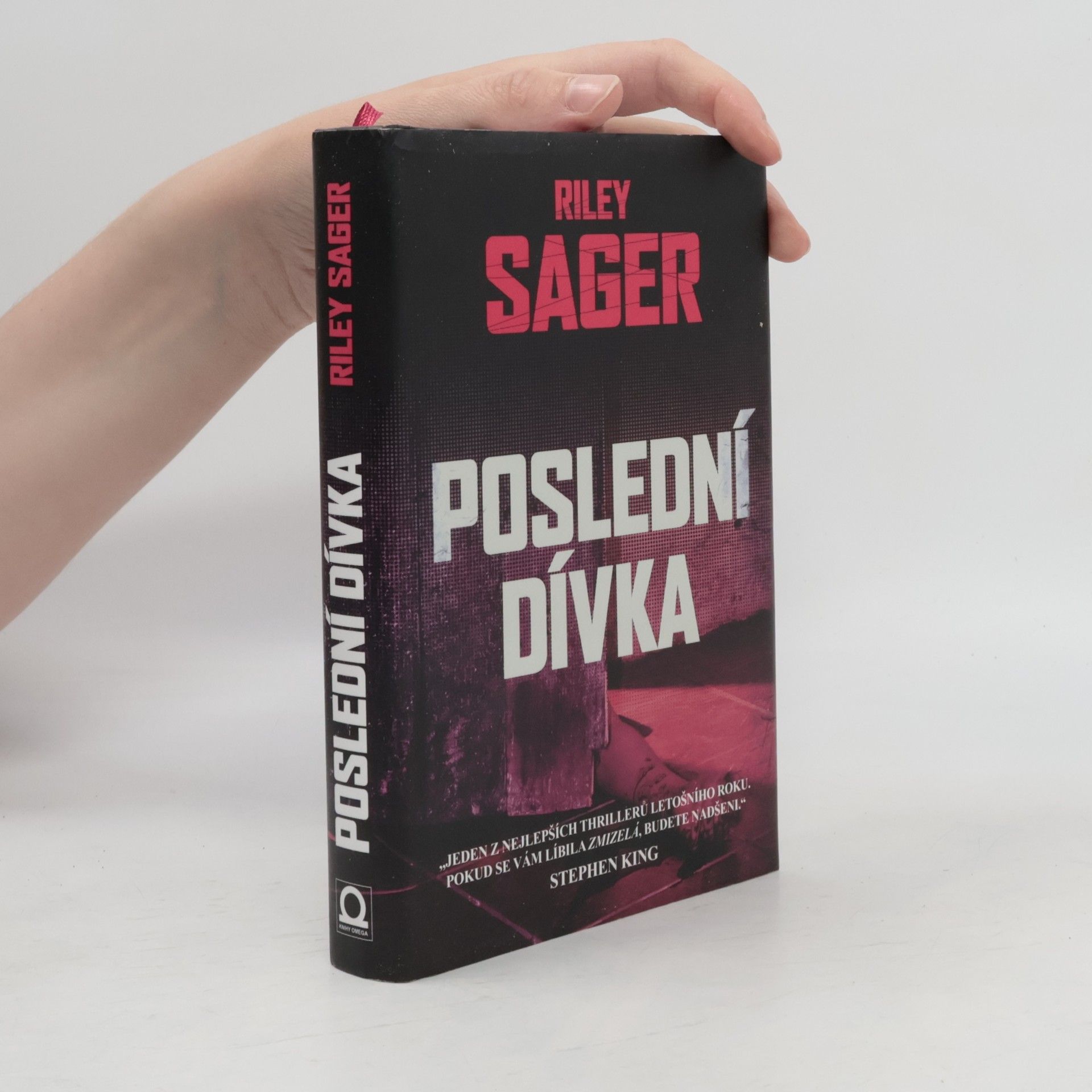 Todd Ritter Poslední dívka