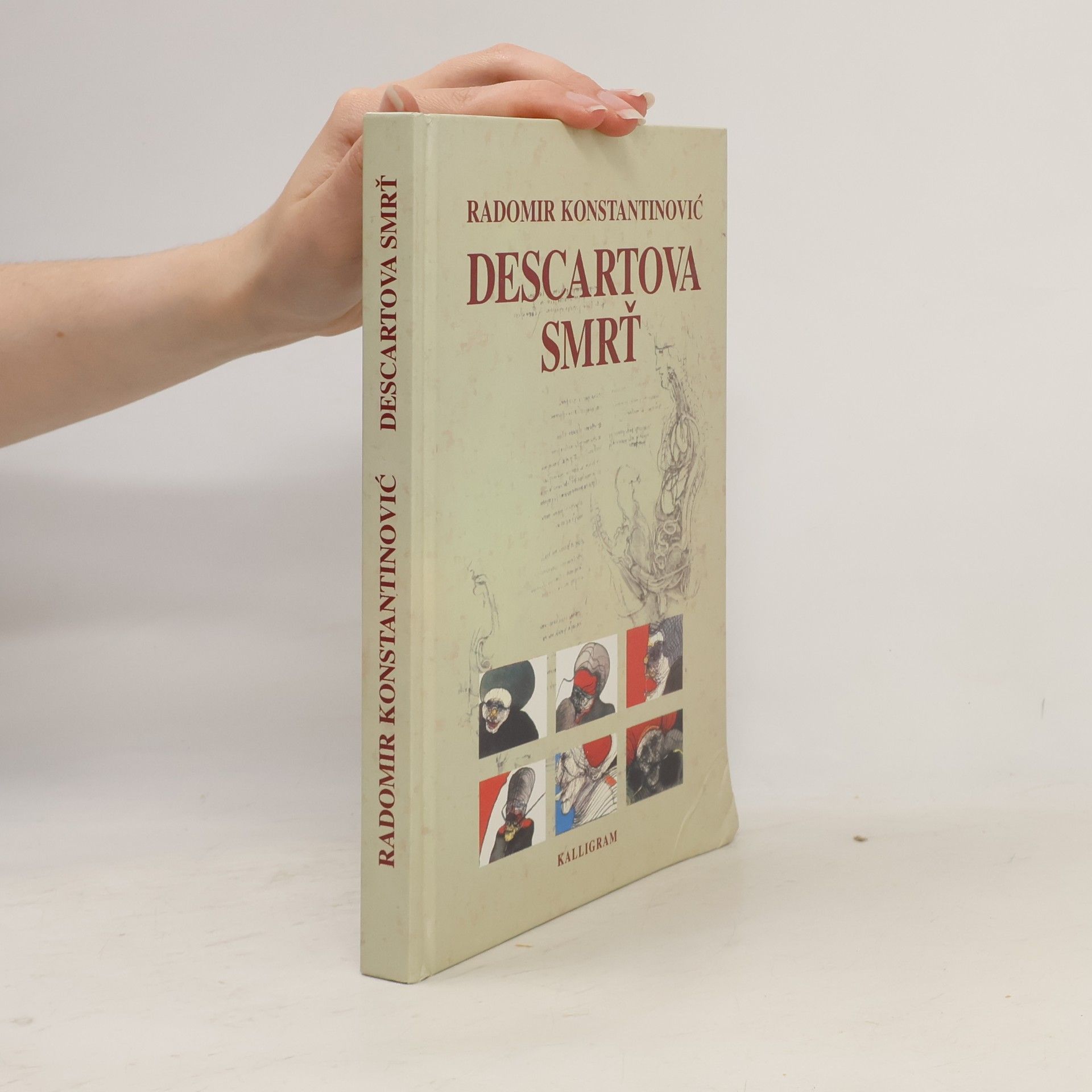 Radomir Konstantinović Descartova smrť