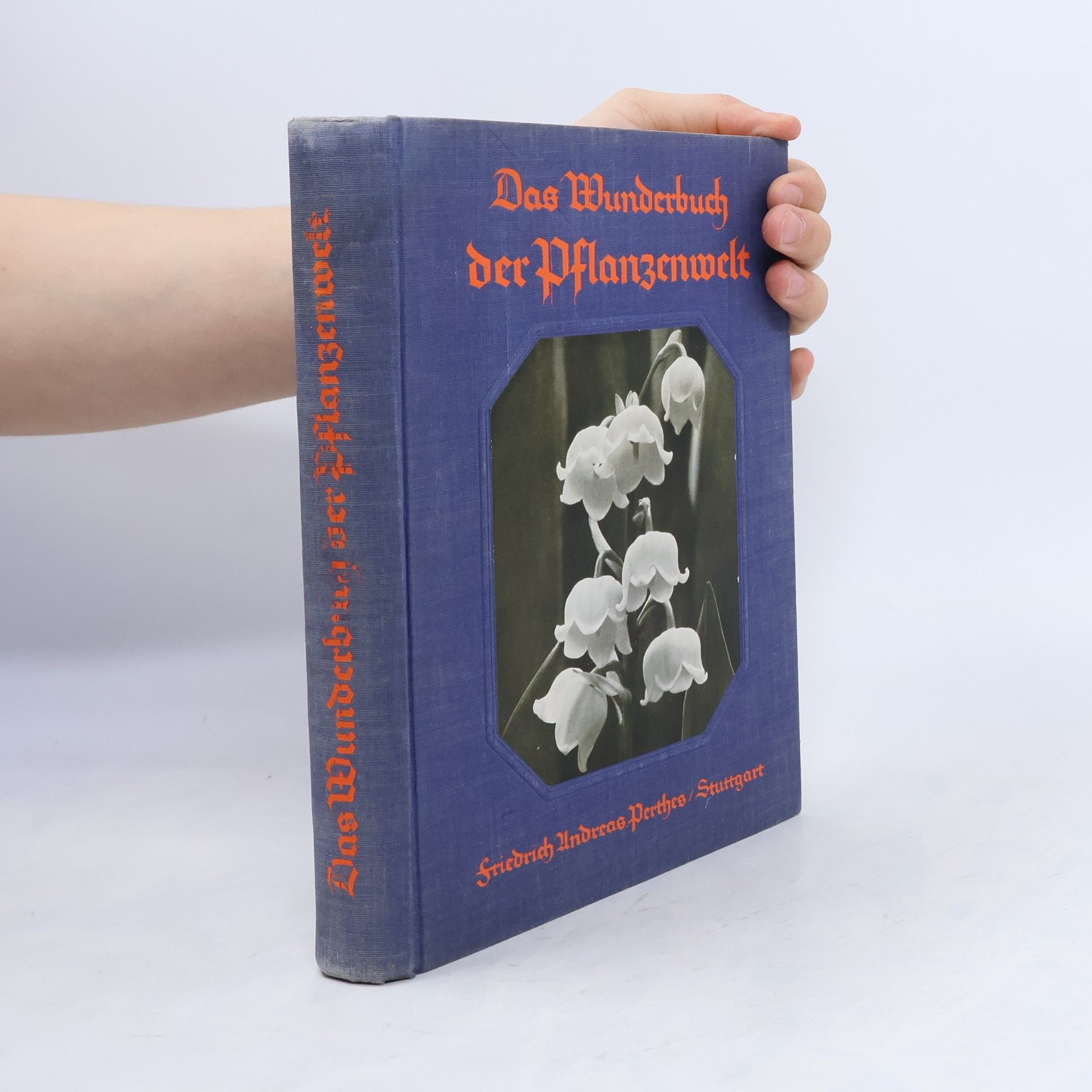 Kolektiv autorů Das Wunderbuch der Pflanzenwelt