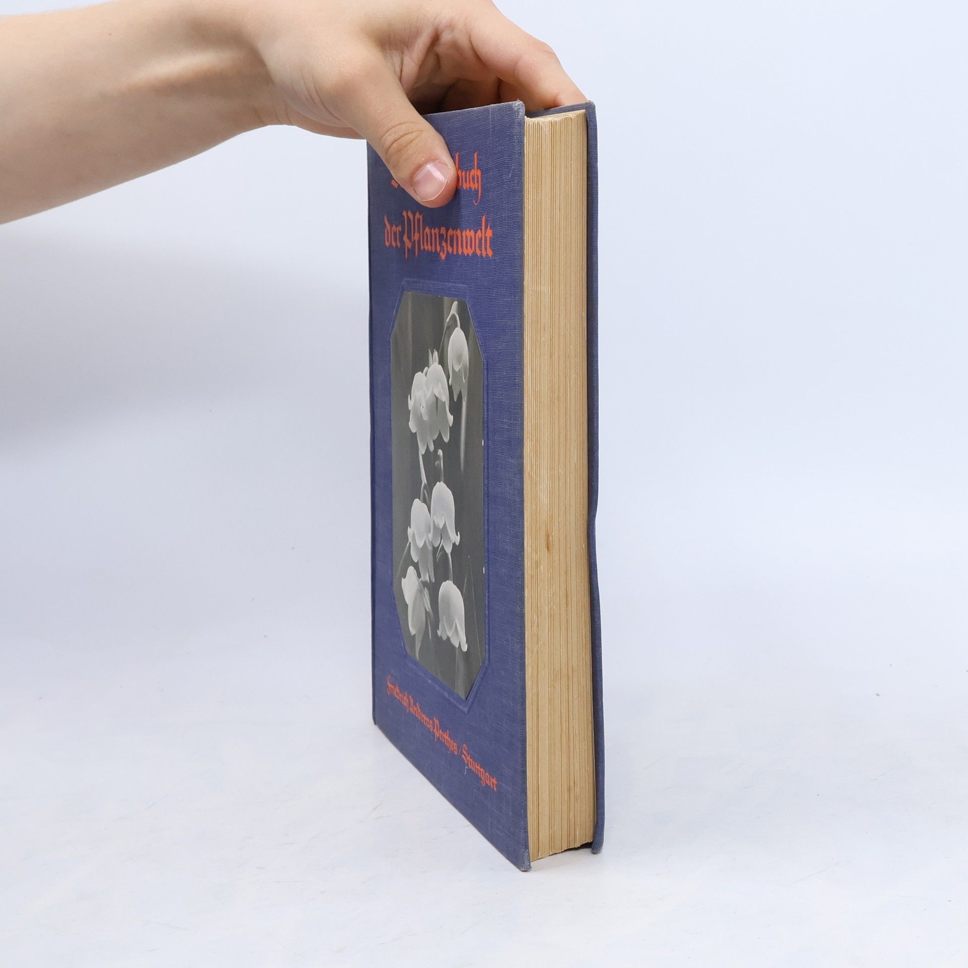 Kolektiv autorů Das Wunderbuch der Pflanzenwelt