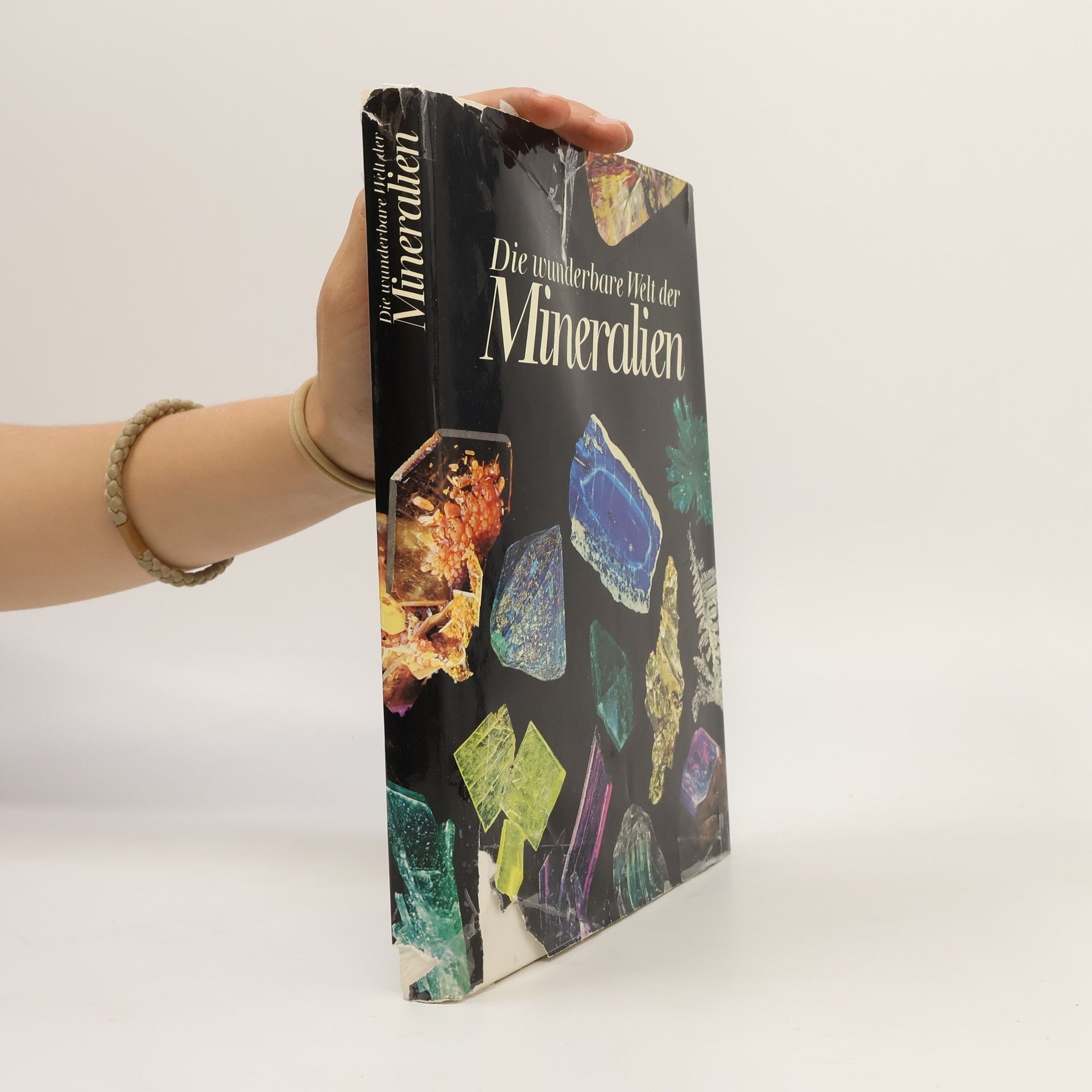 Autorenkollektiv Die wunderbare Welt der Mineralien